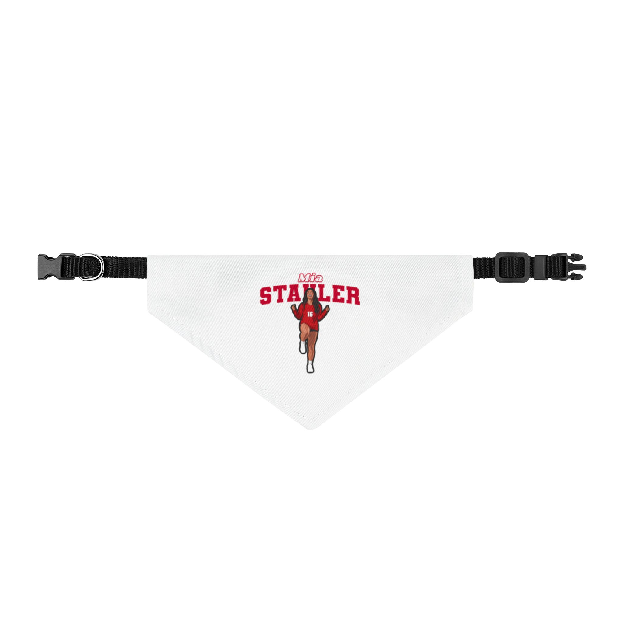 Pet Bandana — character_name_arch in Classic