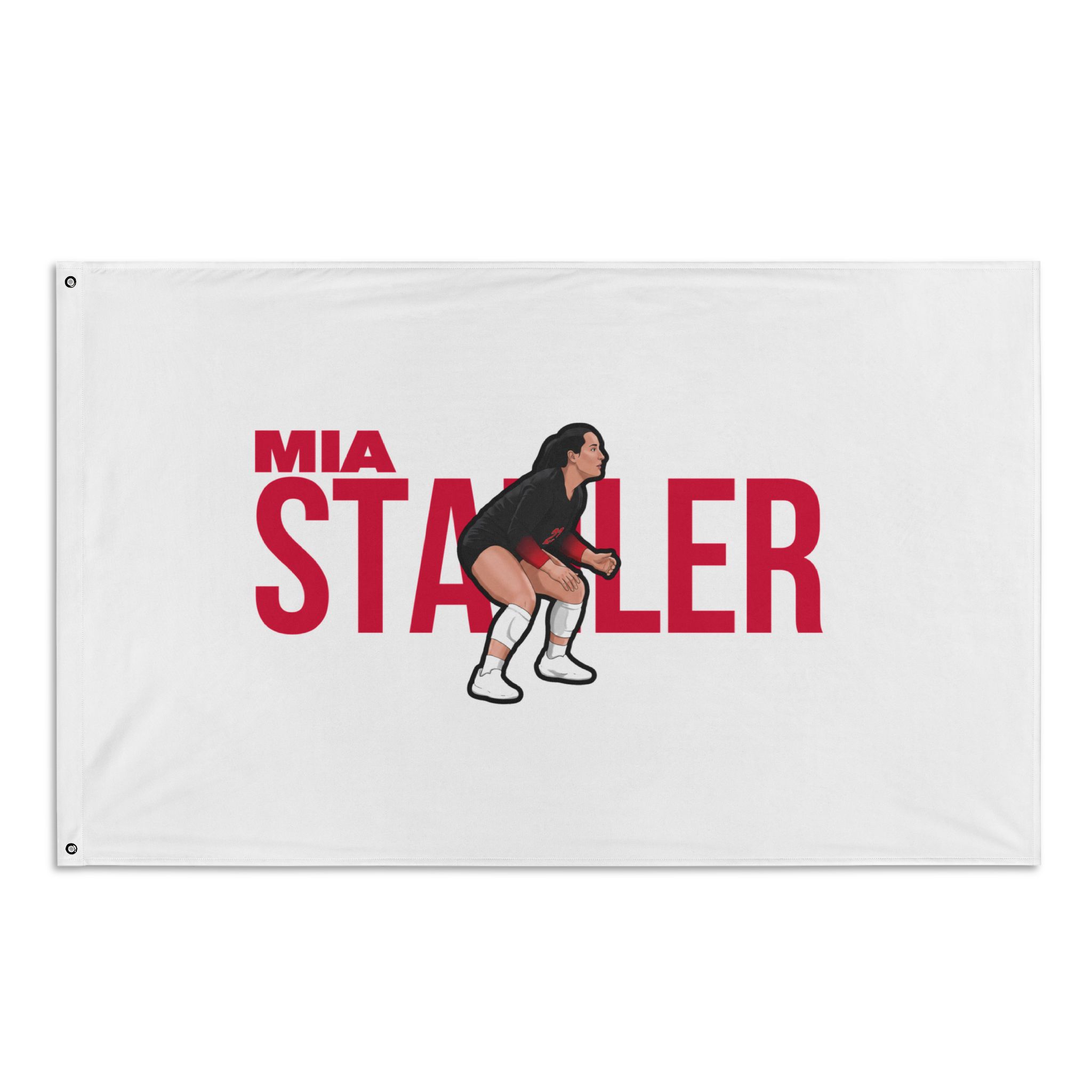 Flag (35 × 56 in)