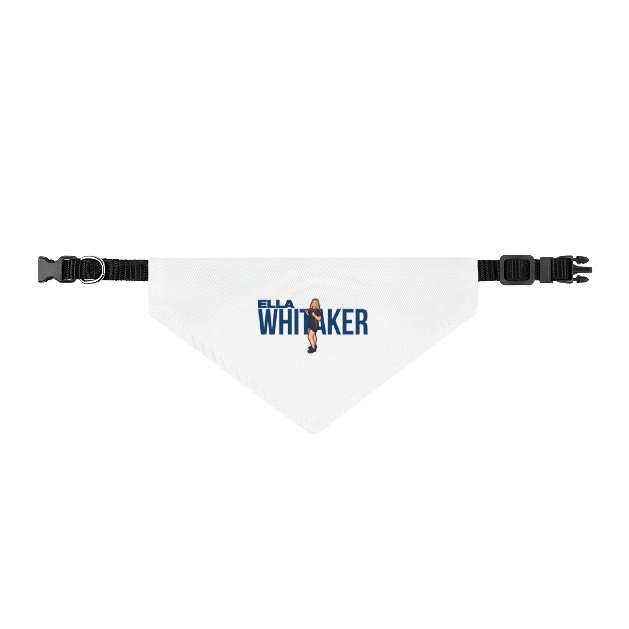 Pet Bandana — character_player_name in Classic