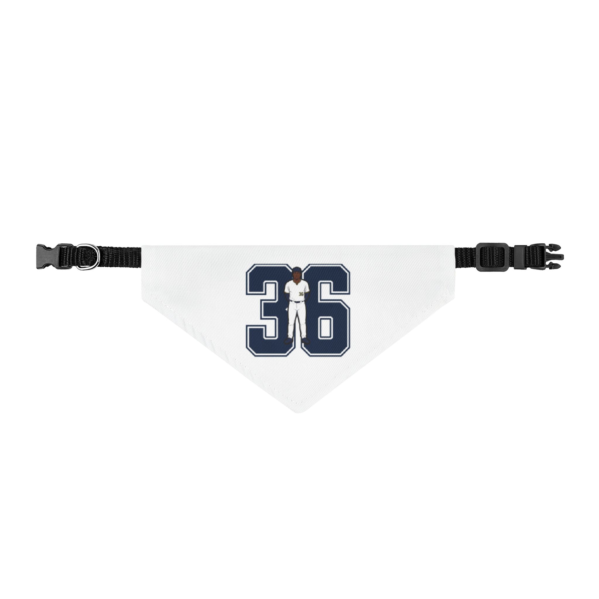 Pet Bandana — character_number in Classic