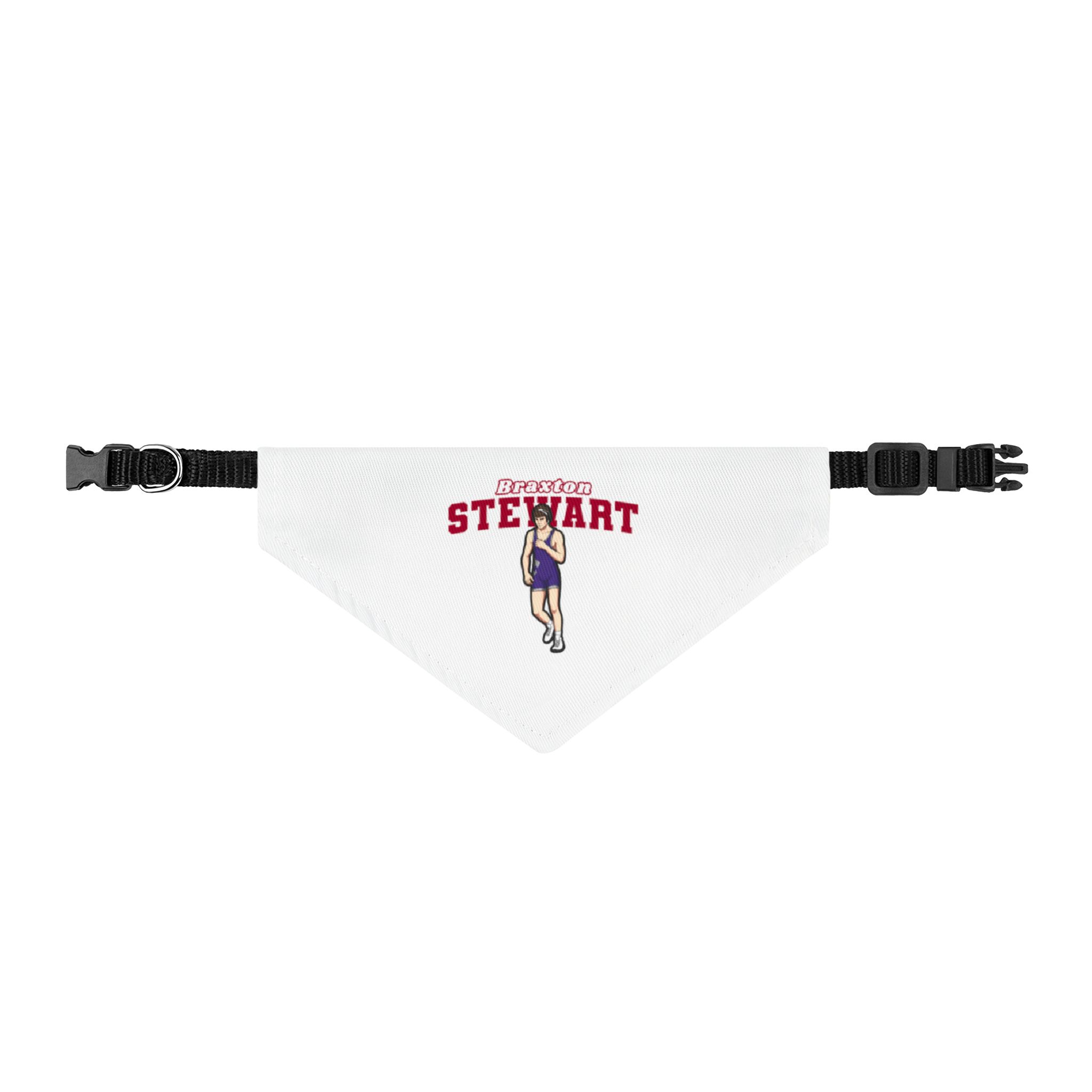 Pet Bandana — character_name_arch in Classic