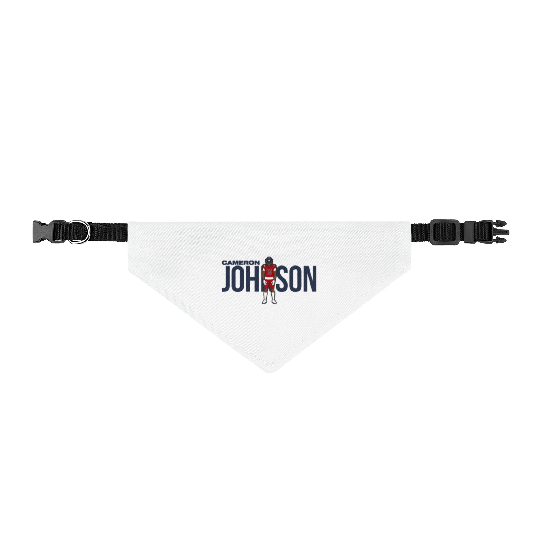 Pet Bandana — character_player_name in Classic