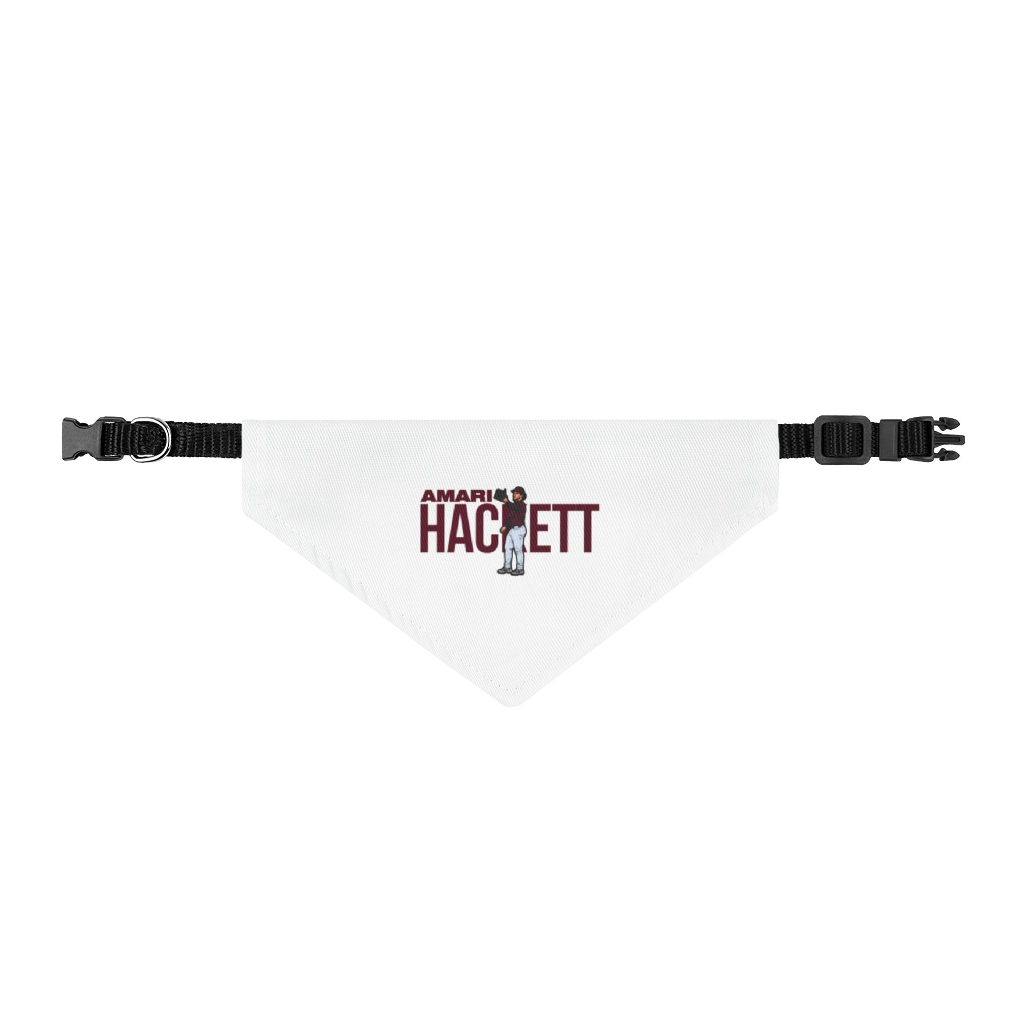 Pet Bandana — character_player_name in Classic