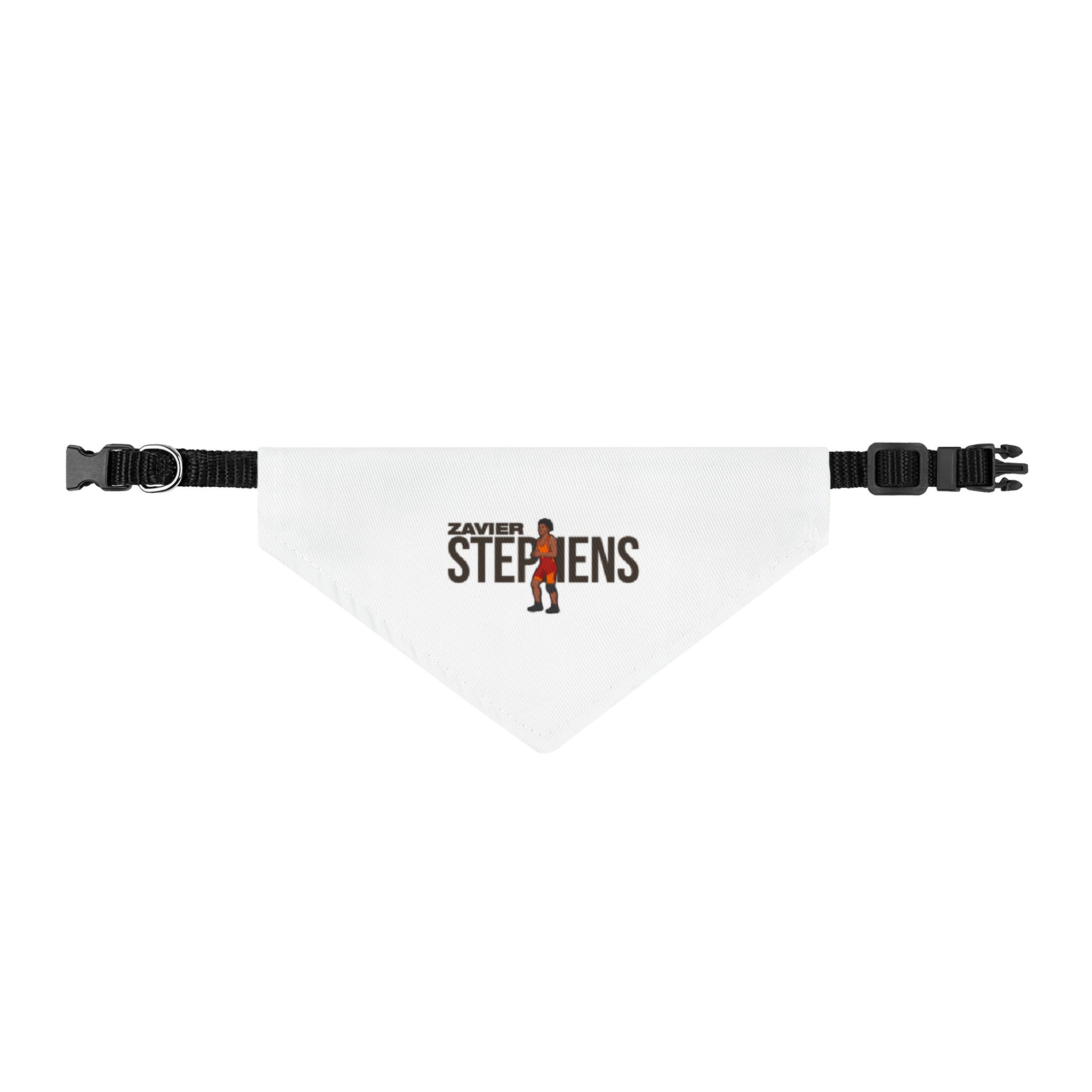 Pet Bandana — character_player_name in Classic