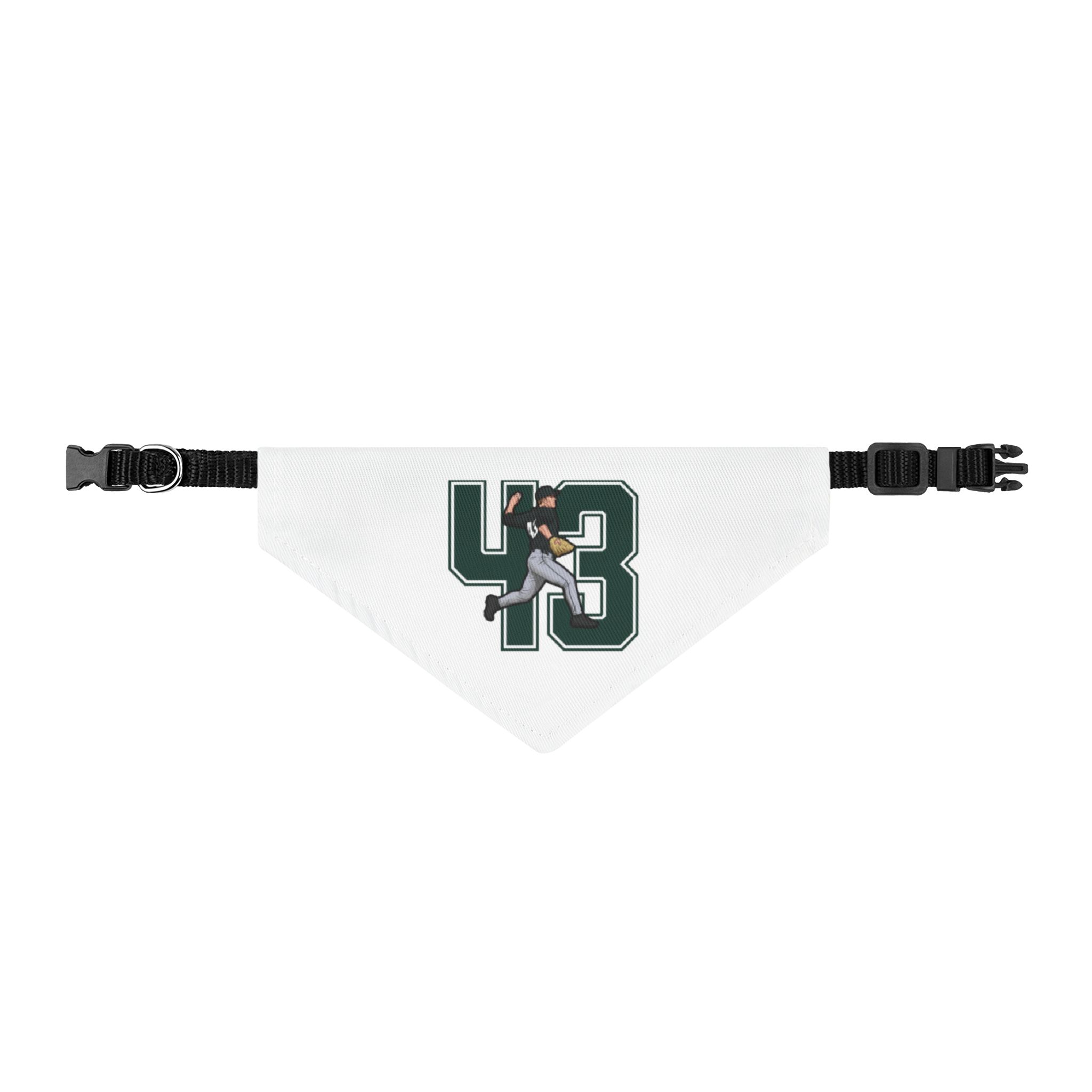 Pet Bandana — character_number in Classic