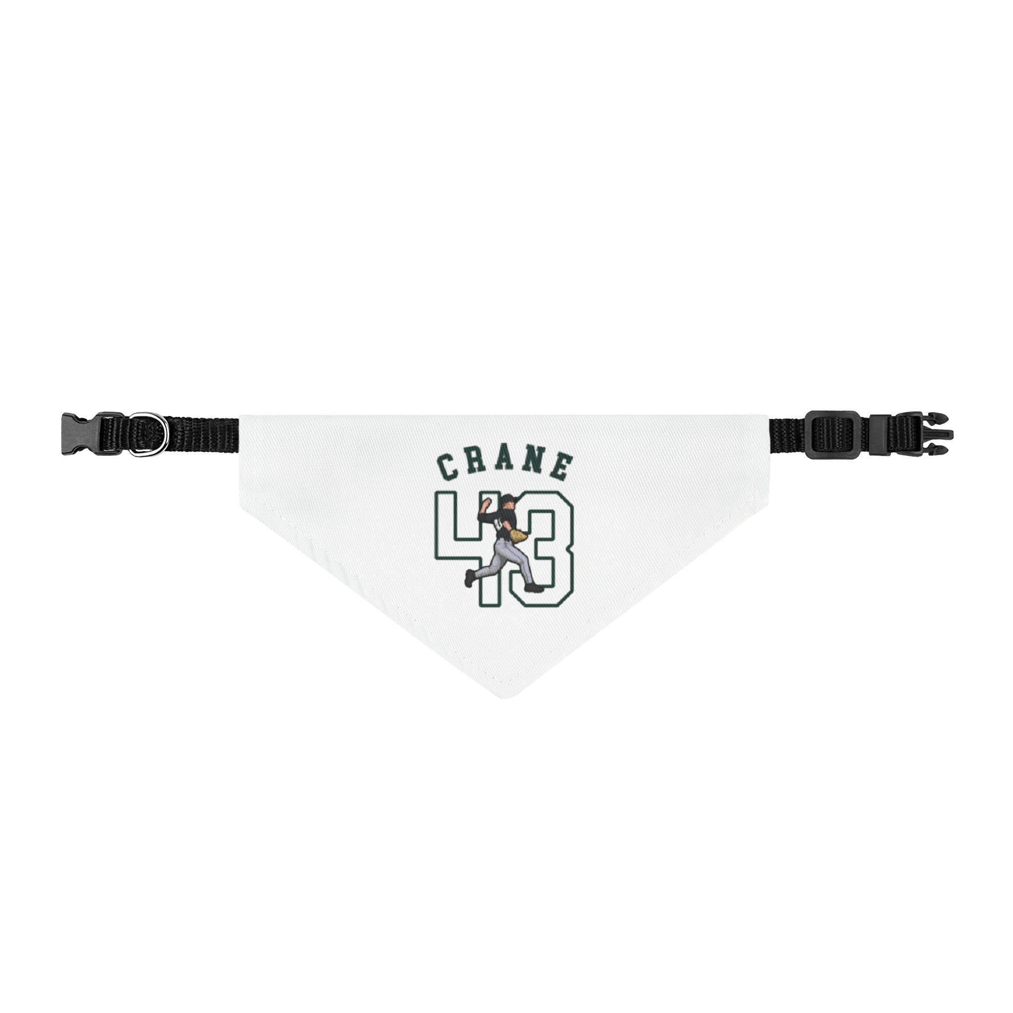 Pet Bandana — character_shirsey_arch in Classic