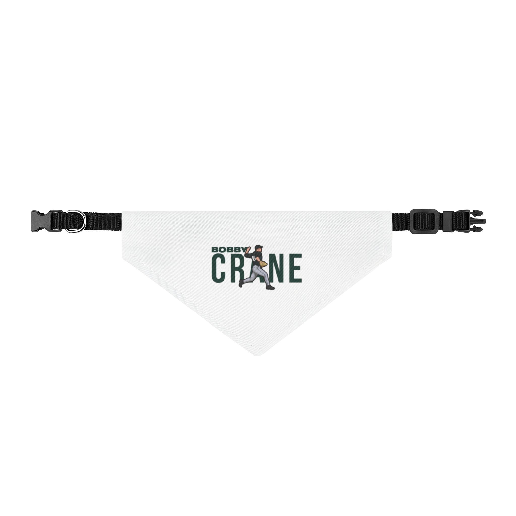Pet Bandana — character_player_name in Classic