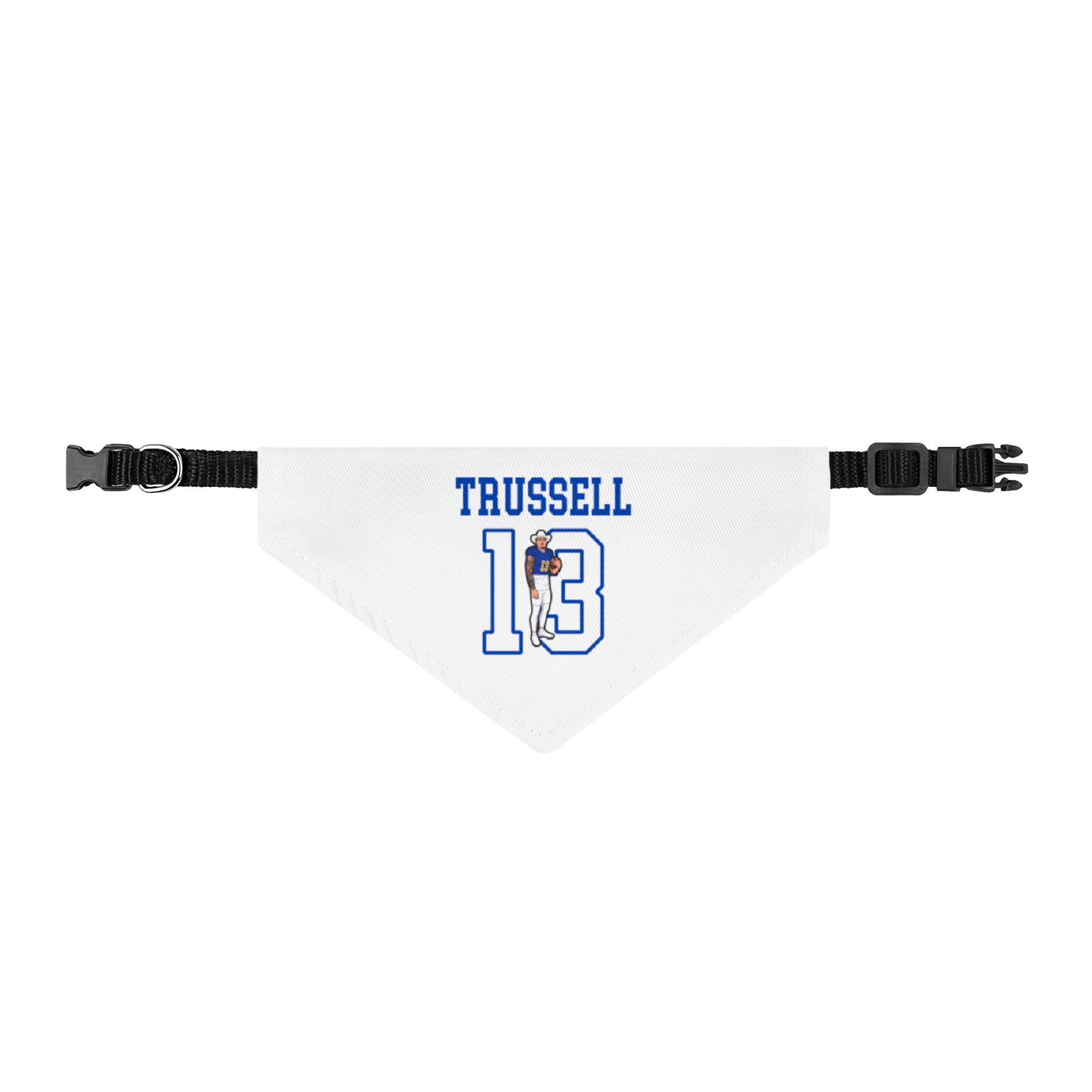 Pet Bandana — character_shirsey in Classic