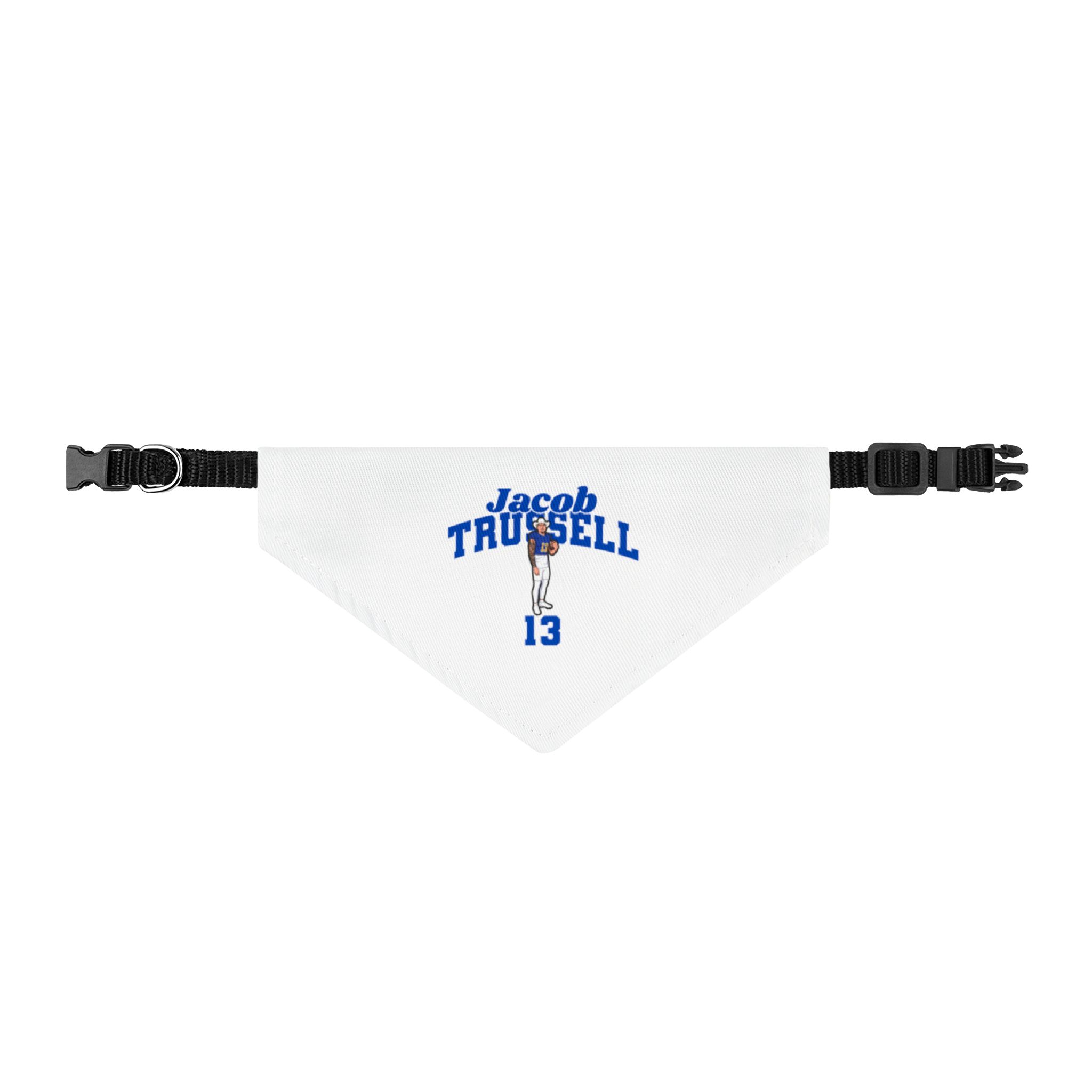 Pet Bandana — character_signature_arch in Classic