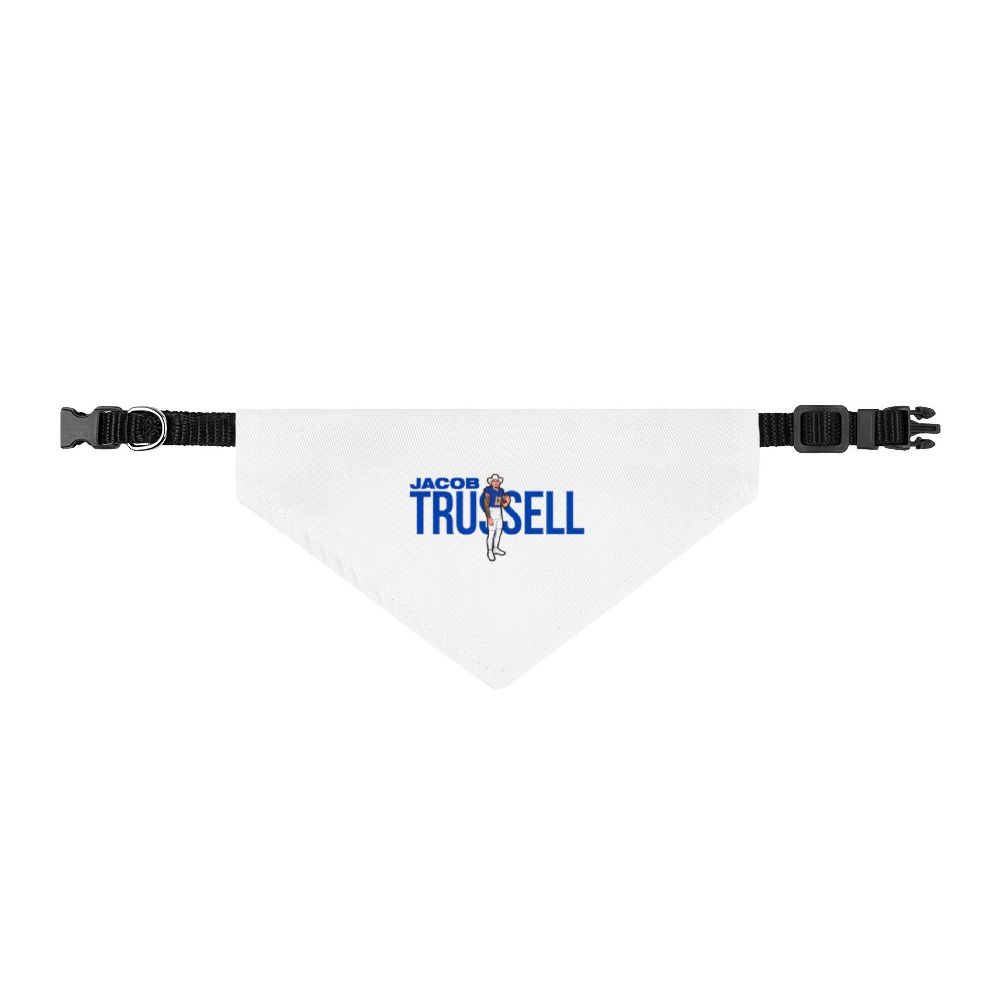 Pet Bandana — character_player_name in Classic