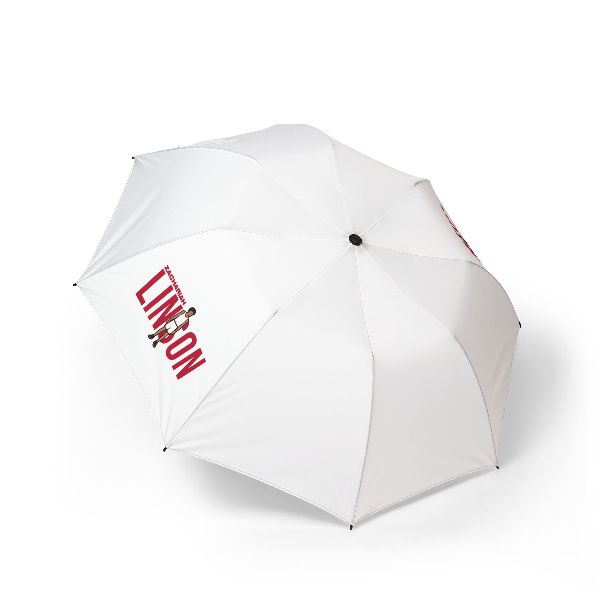 Foldable Umbrella — character_player_name in Classic