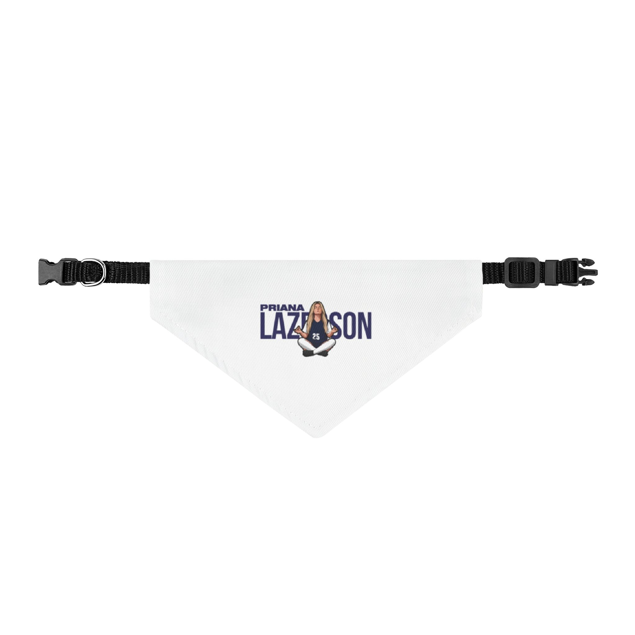 Pet Bandana — character_player_name in Classic