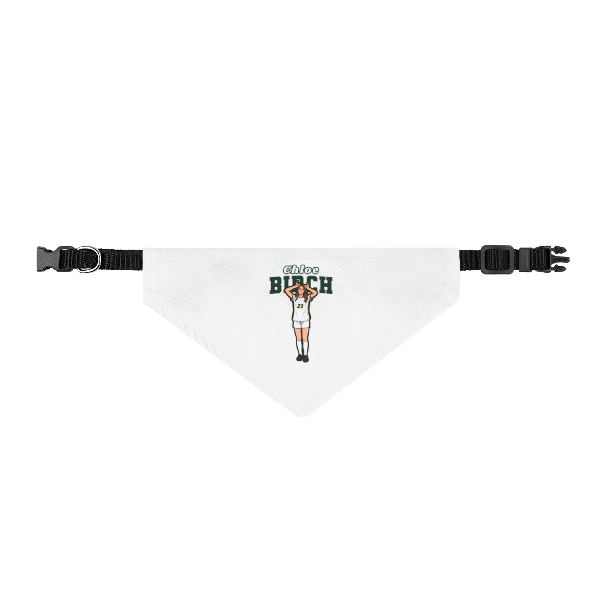 Pet Bandana — character_name_arch in Classic