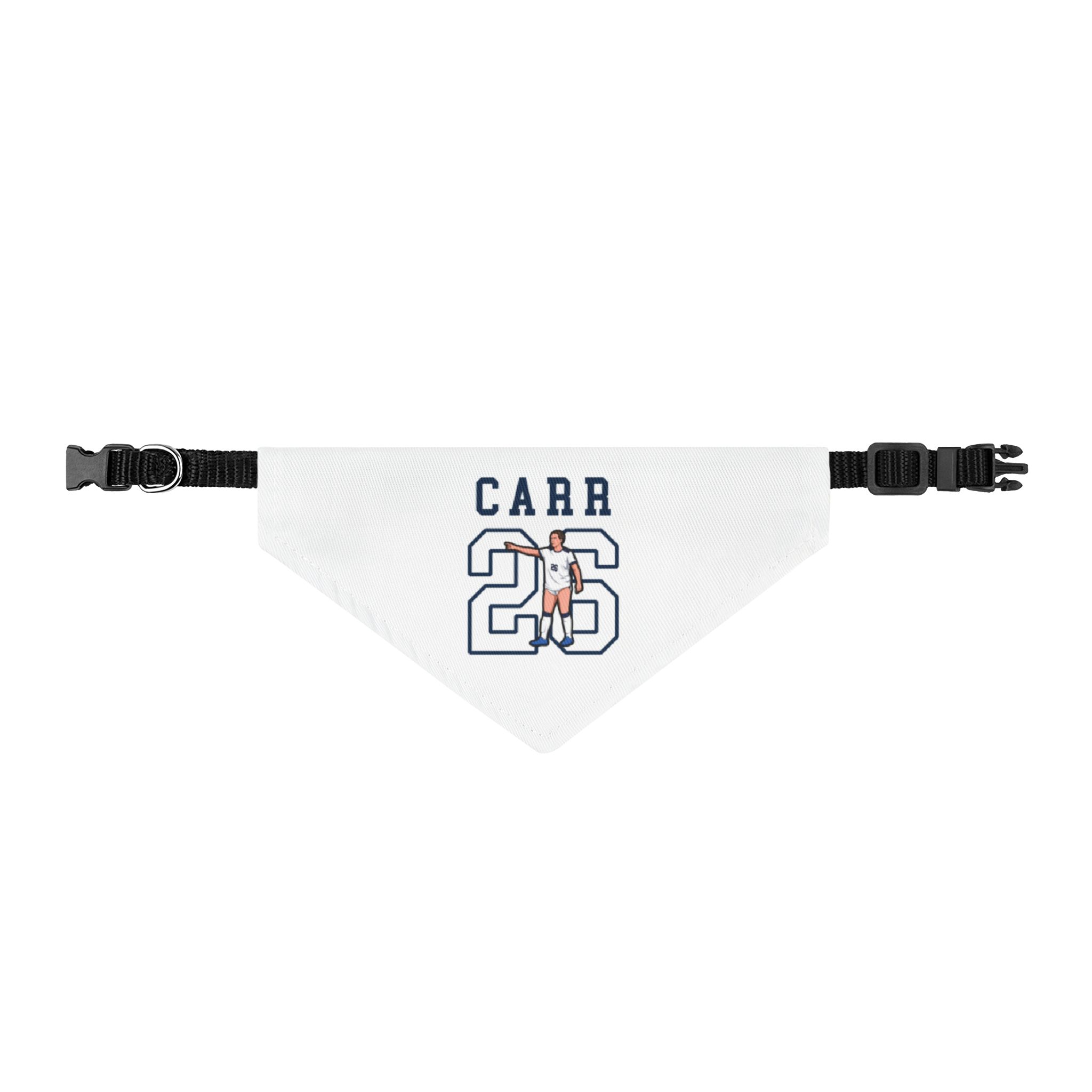 Pet Bandana — character_shirsey in Classic