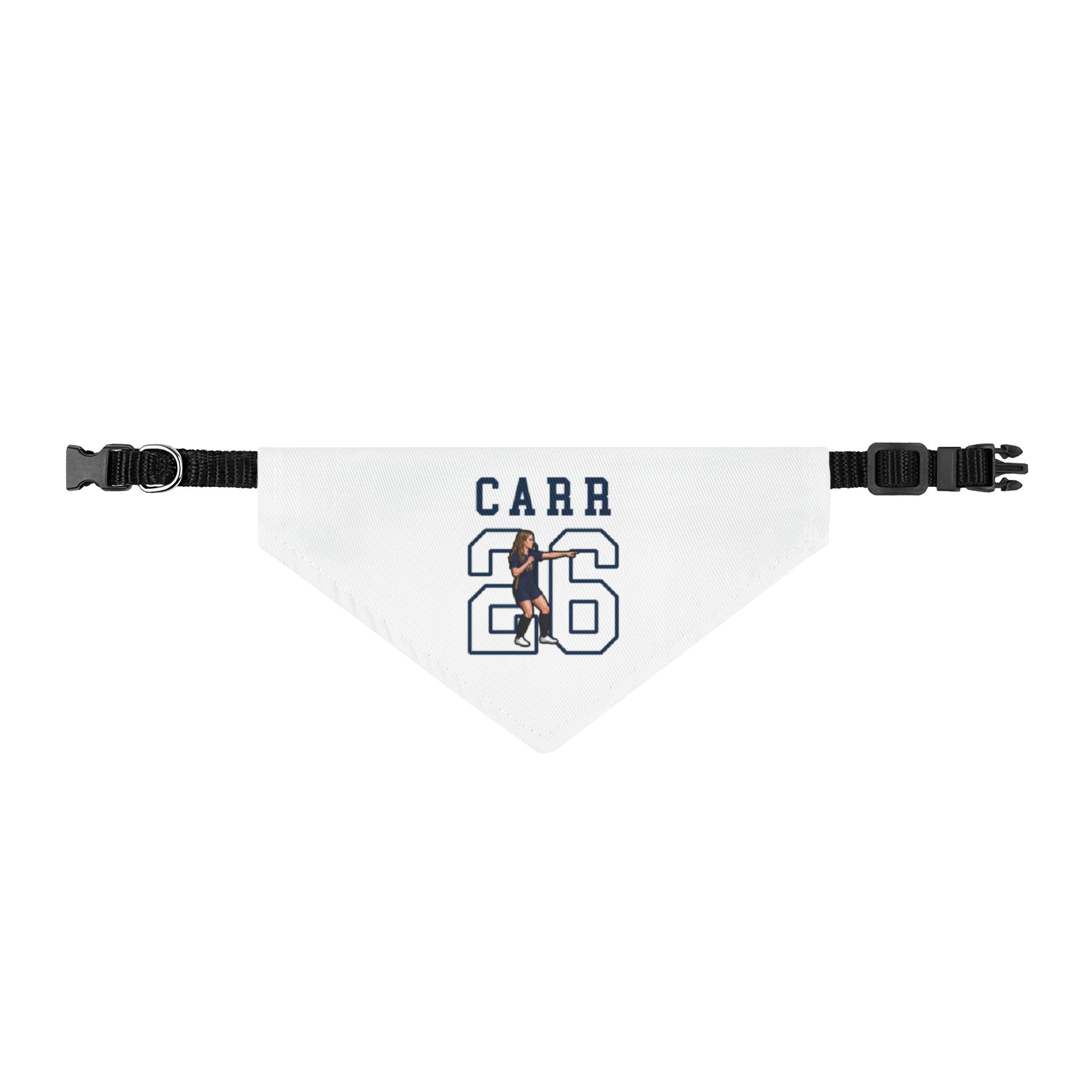 Pet Bandana — character_shirsey in Classic