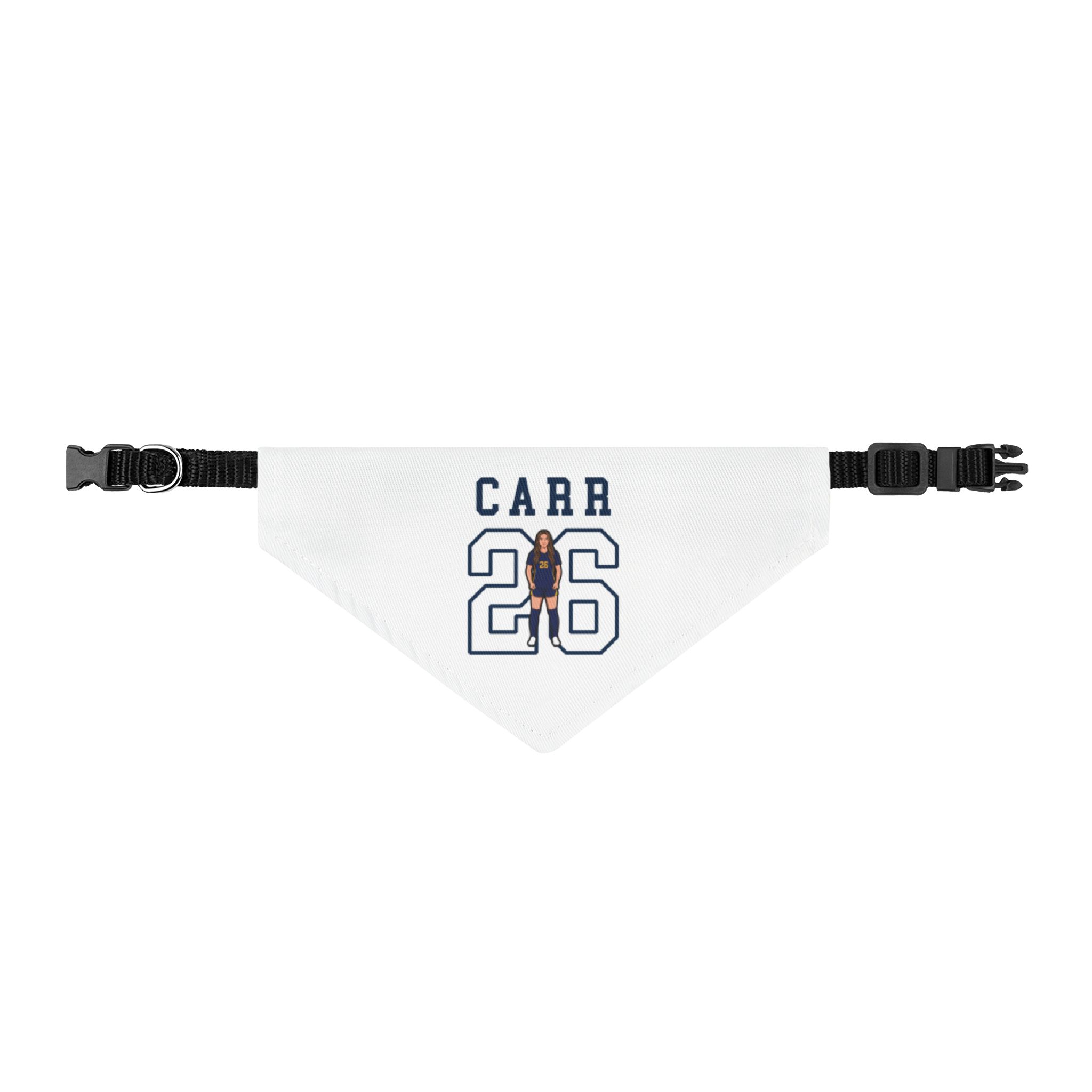 Pet Bandana — character_shirsey in Classic
