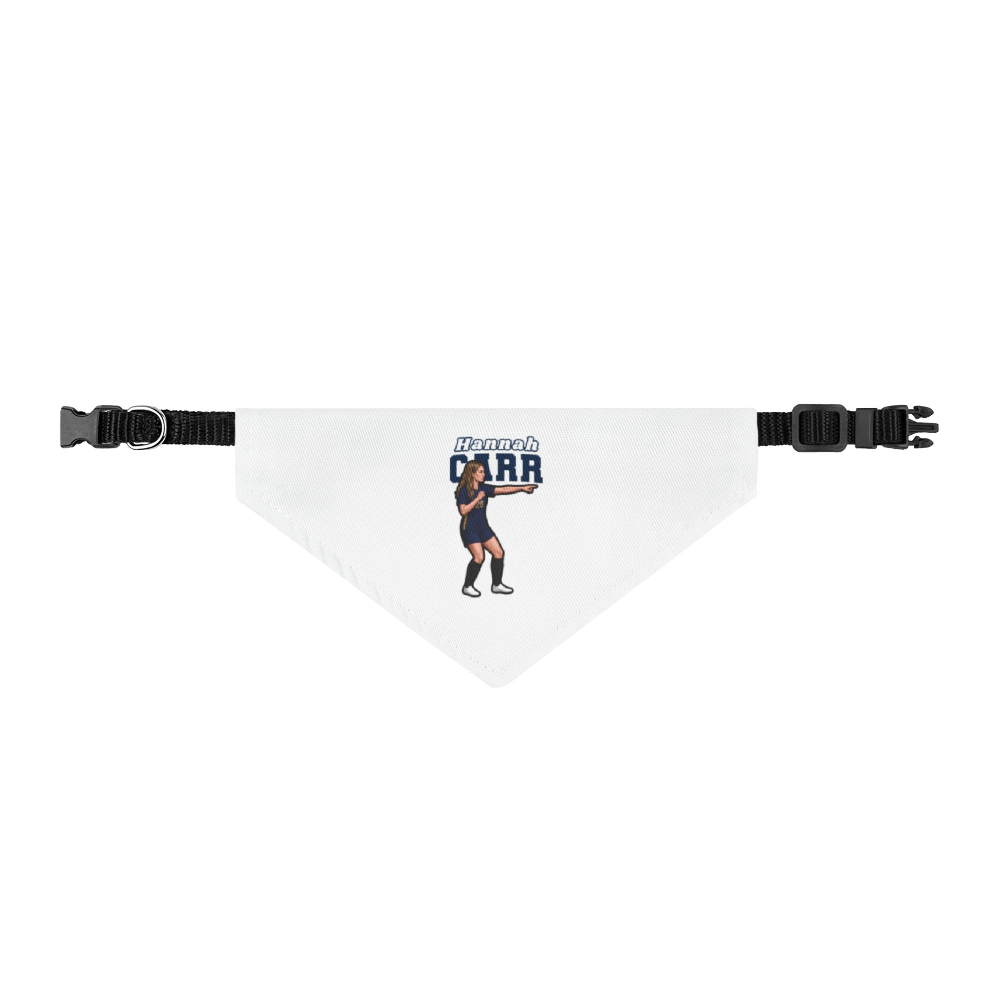 Pet Bandana — character_name_arch in Classic