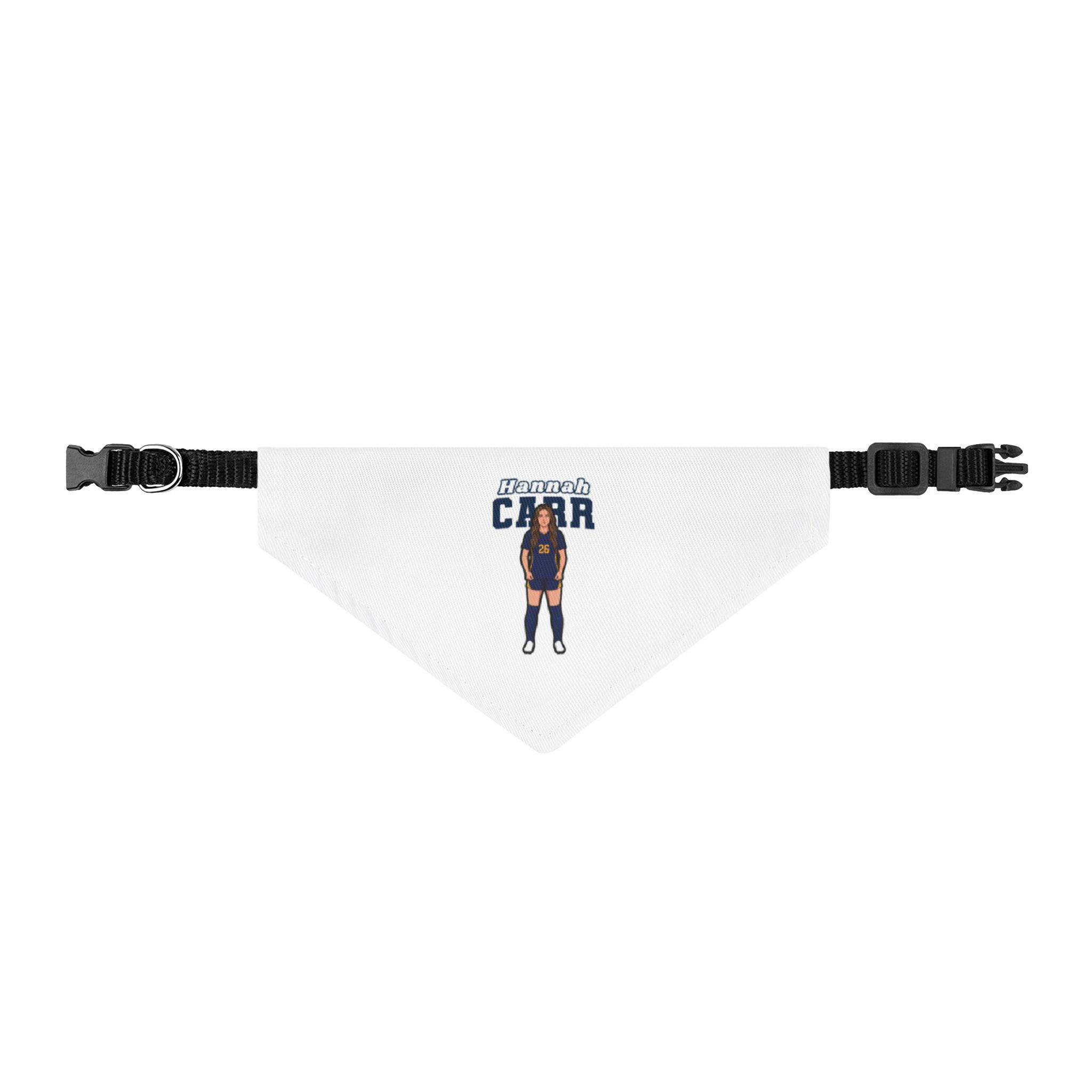 Pet Bandana — character_name_arch in Classic