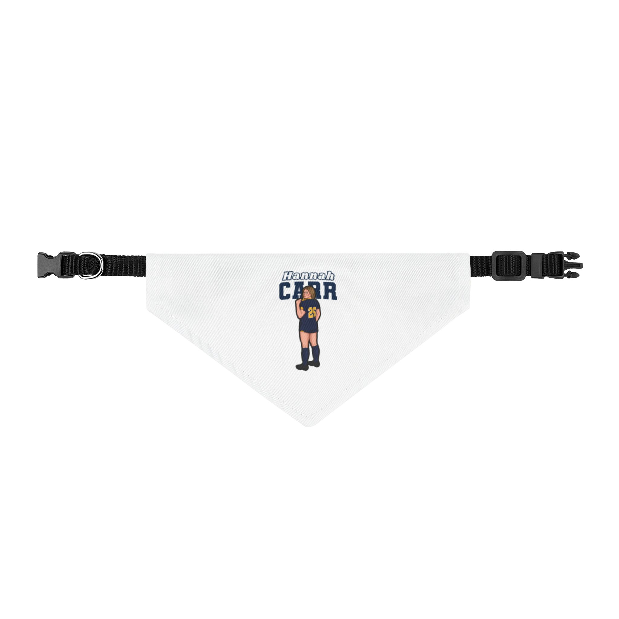 Pet Bandana — character_name_arch in Classic