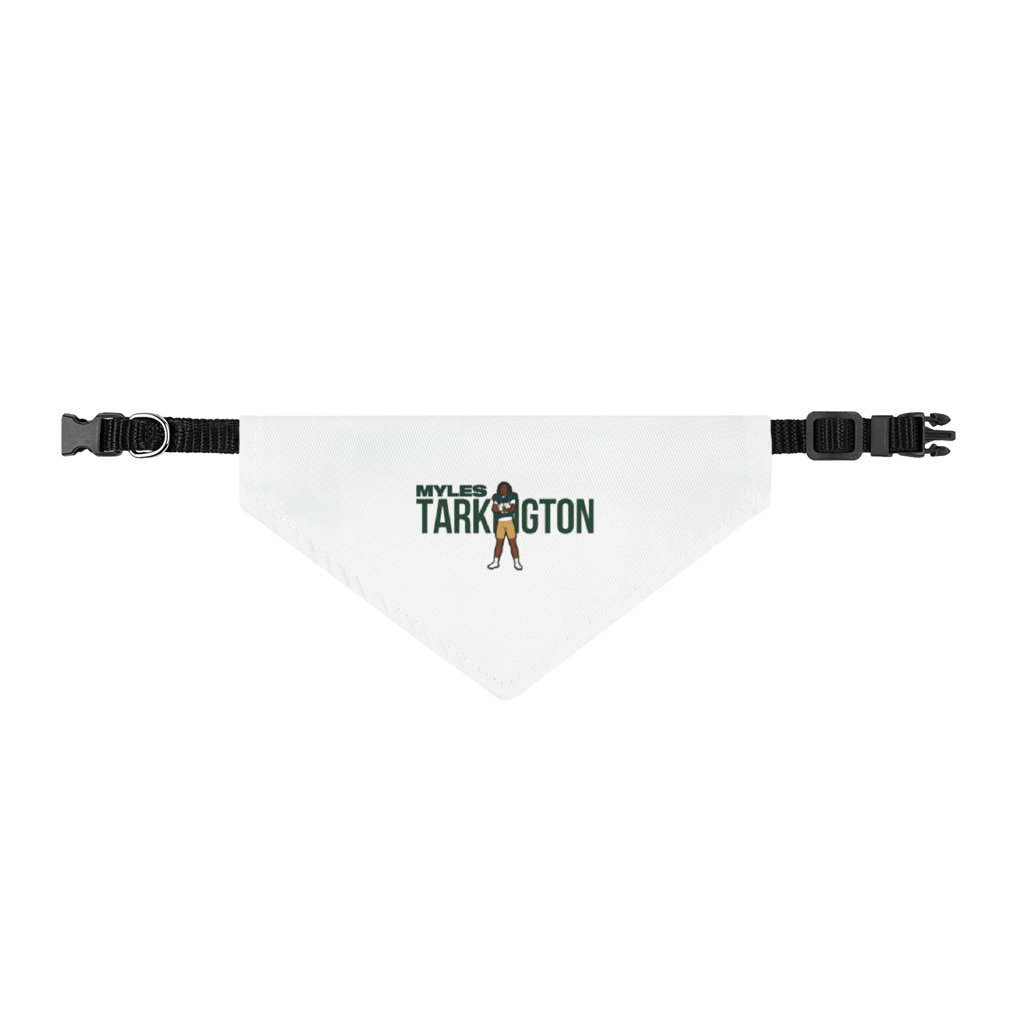 Pet Bandana — character_player_name in Classic