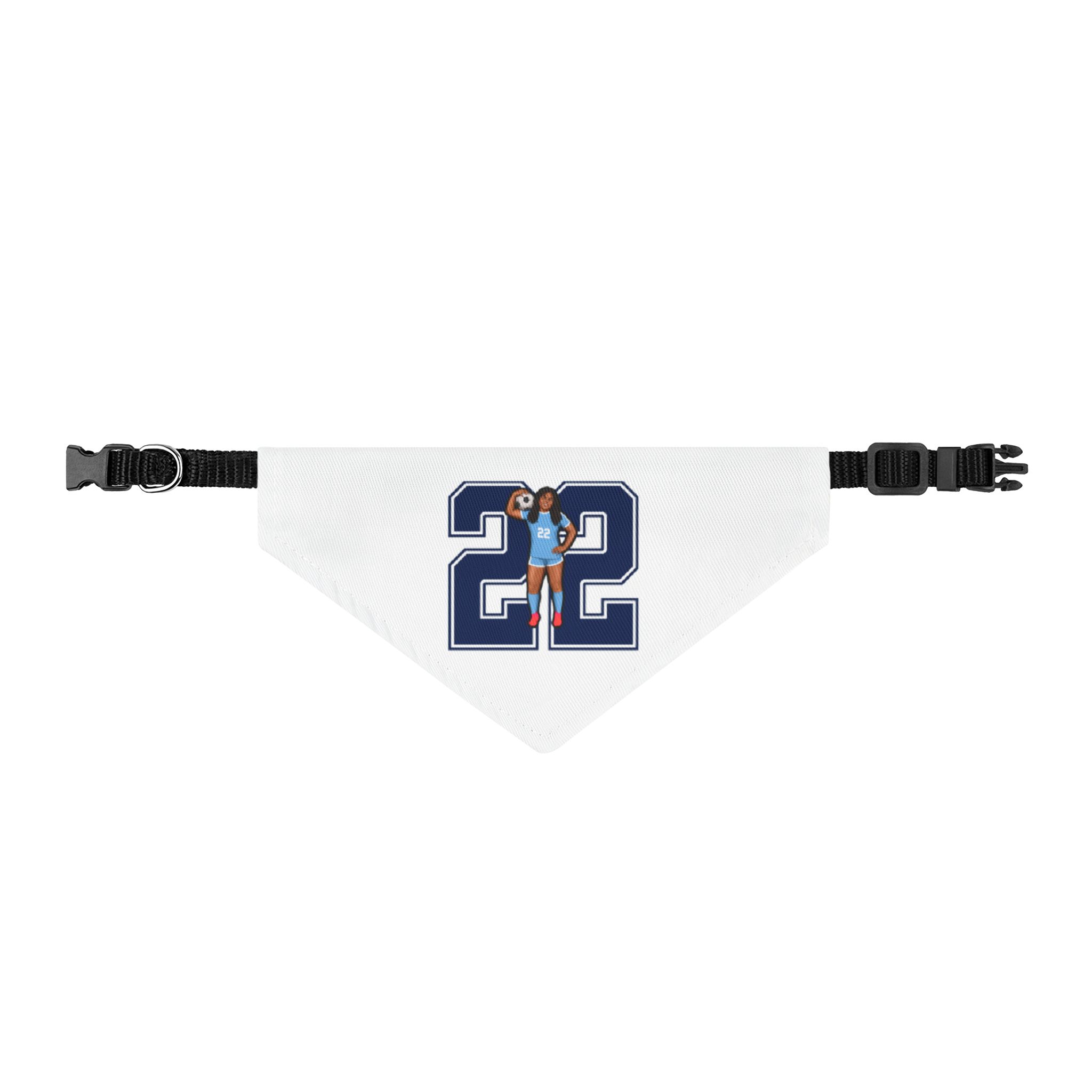 Pet Bandana — character_number in Classic