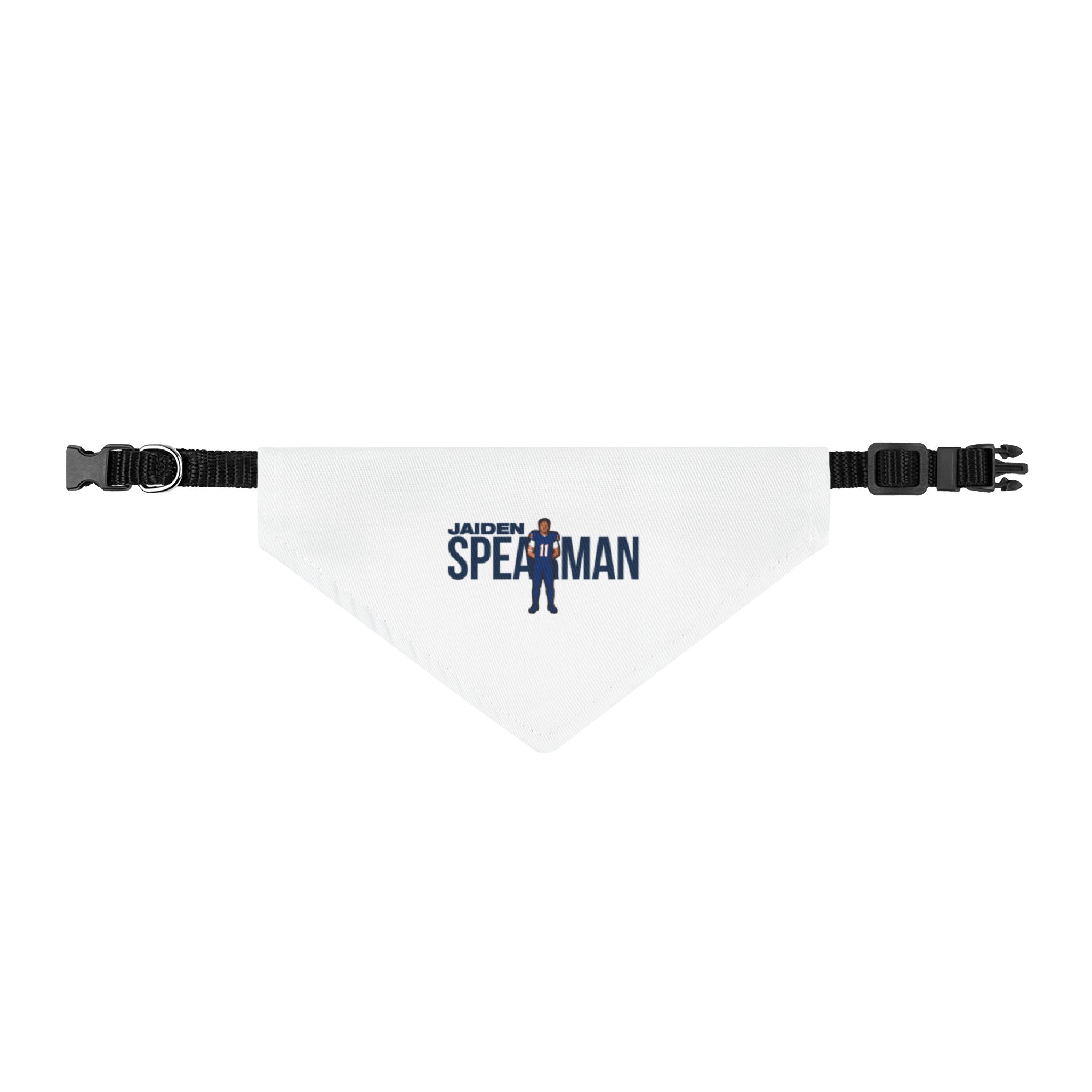 Pet Bandana — character_player_name in Classic