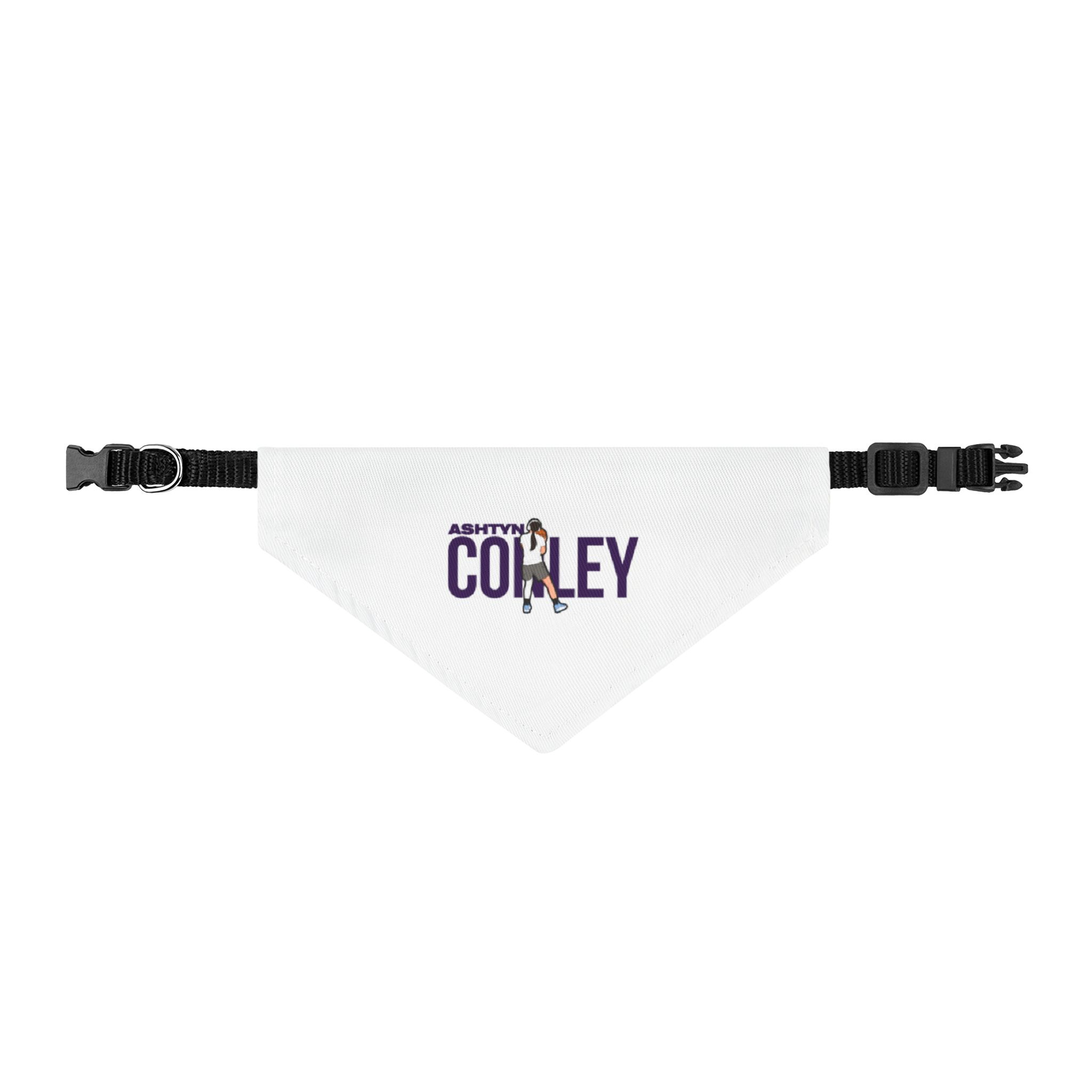 Pet Bandana — character_player_name in Classic