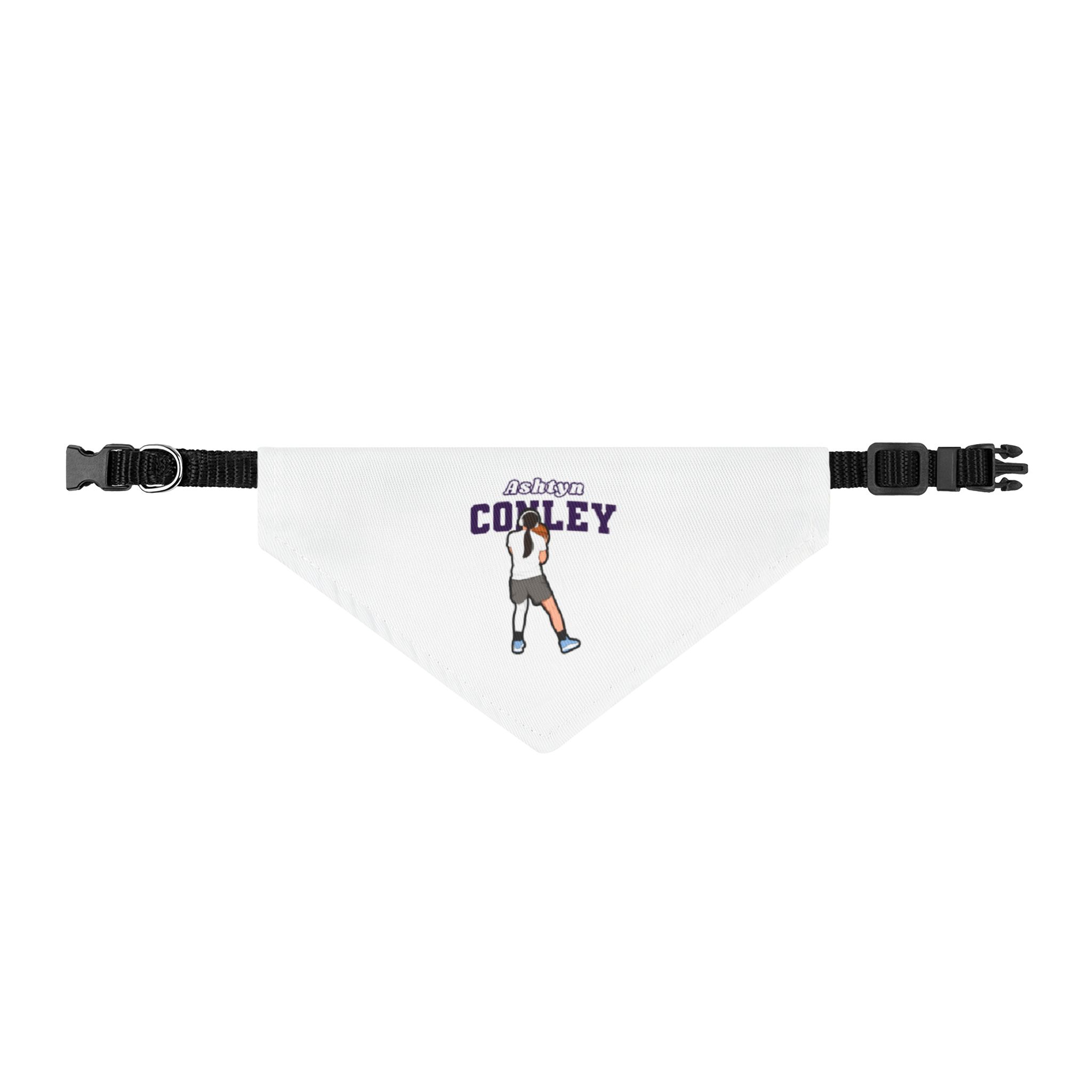 Pet Bandana — character_name_arch in Classic