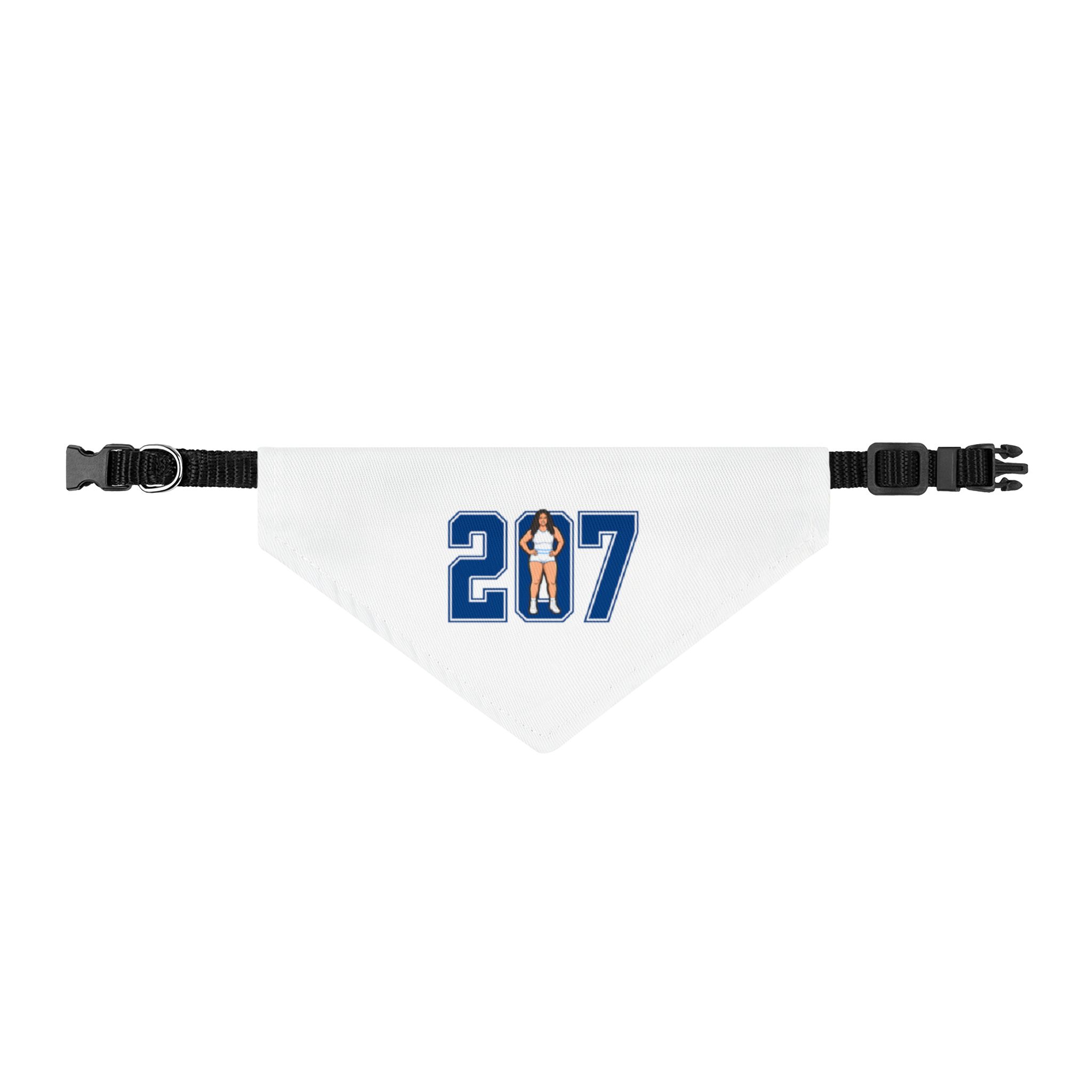 Pet Bandana — character_number in Classic