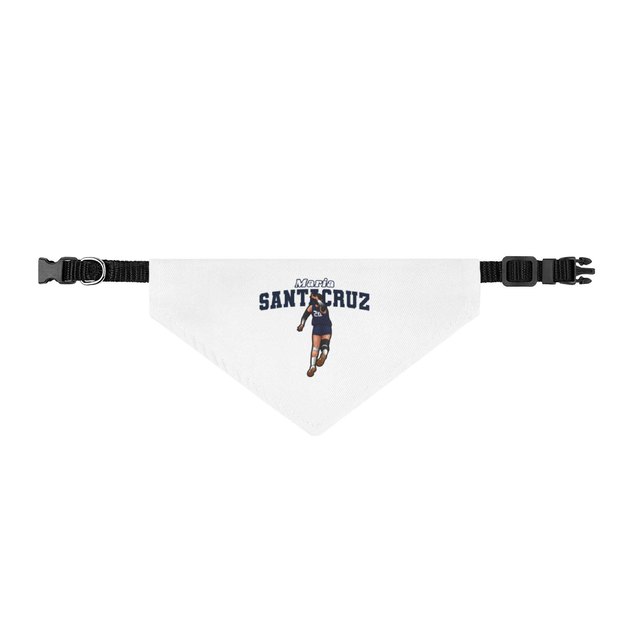 Pet Bandana — character_name_arch in Classic