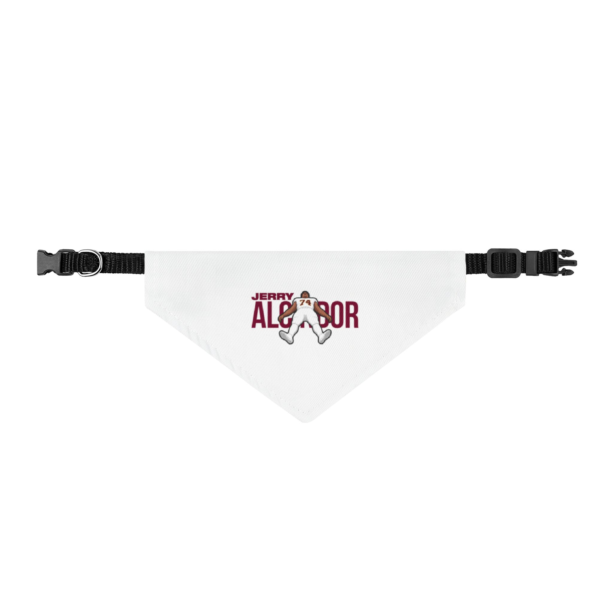 Pet Bandana — character_player_name in Classic