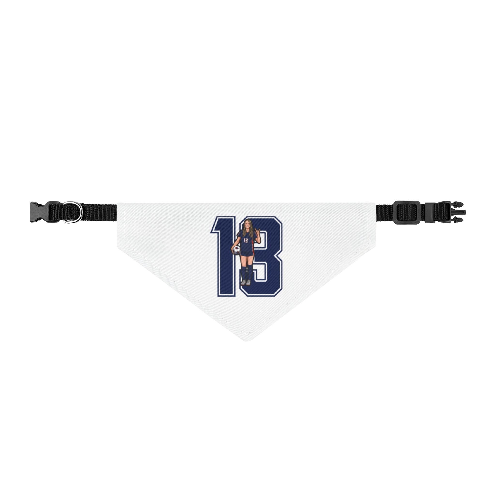 Pet Bandana — character_number in Classic