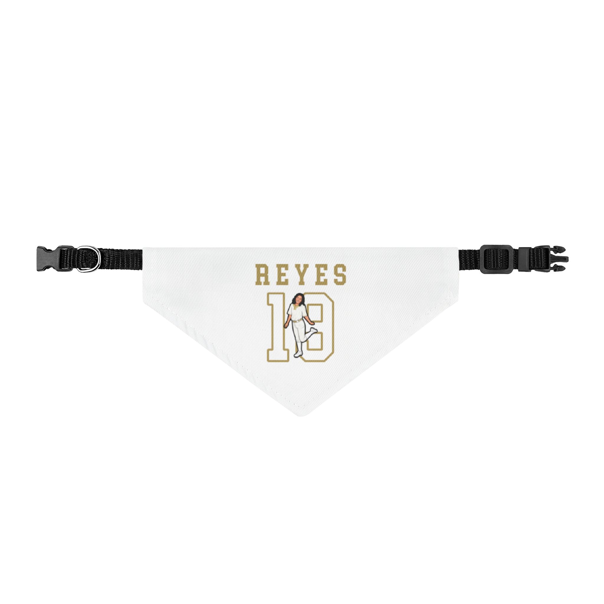 Pet Bandana — character_shirsey in Classic