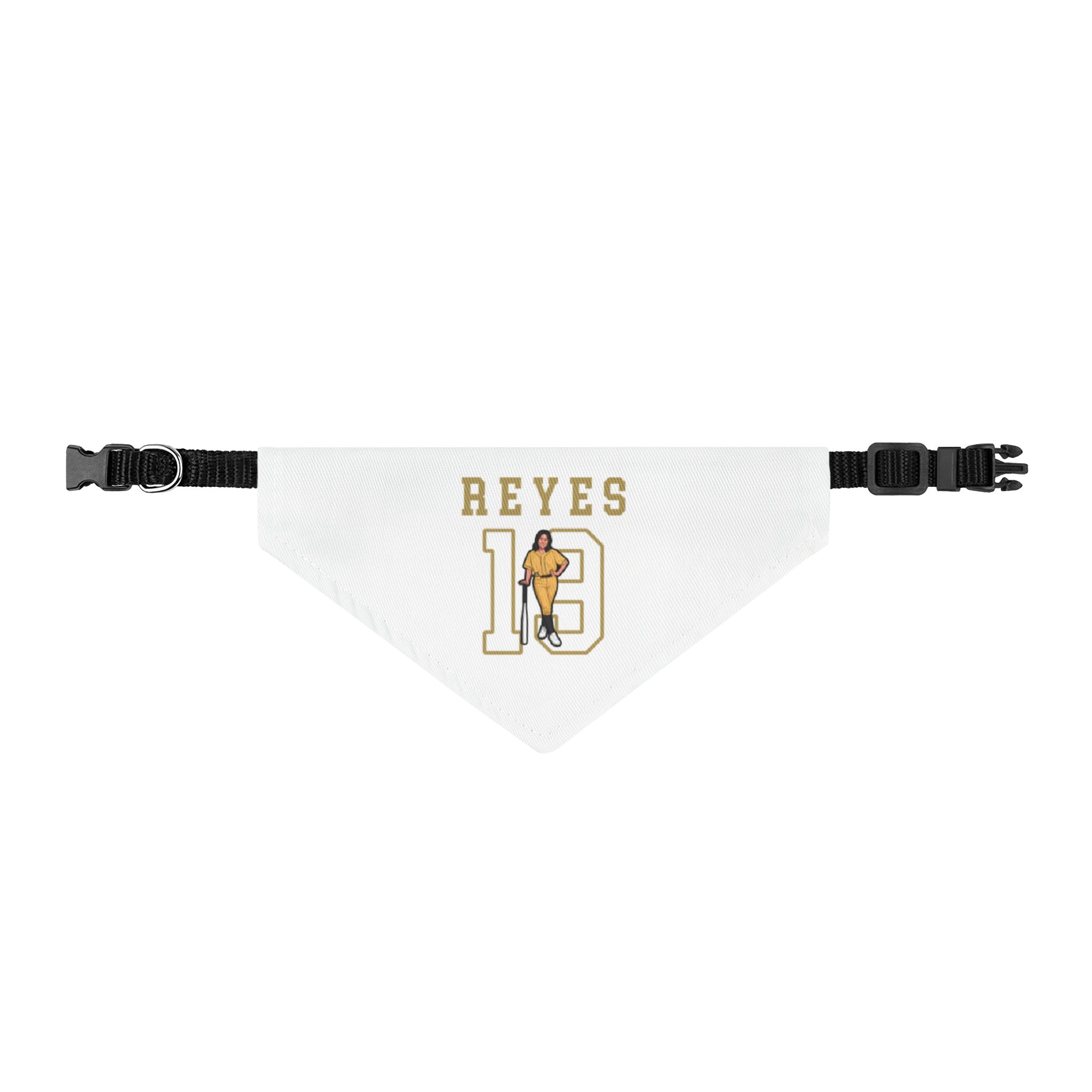 Pet Bandana — character_shirsey in Classic