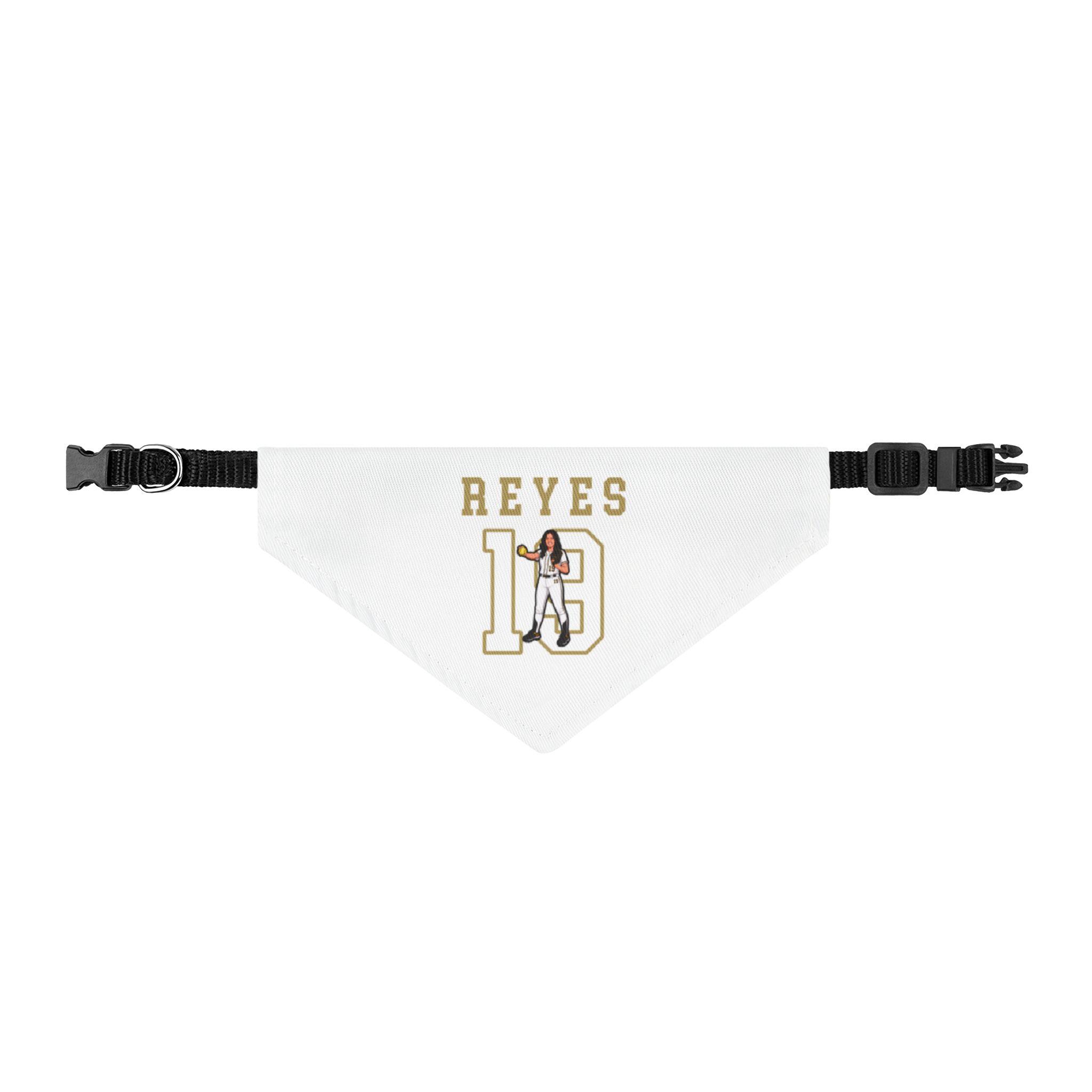 Pet Bandana — character_shirsey in Classic