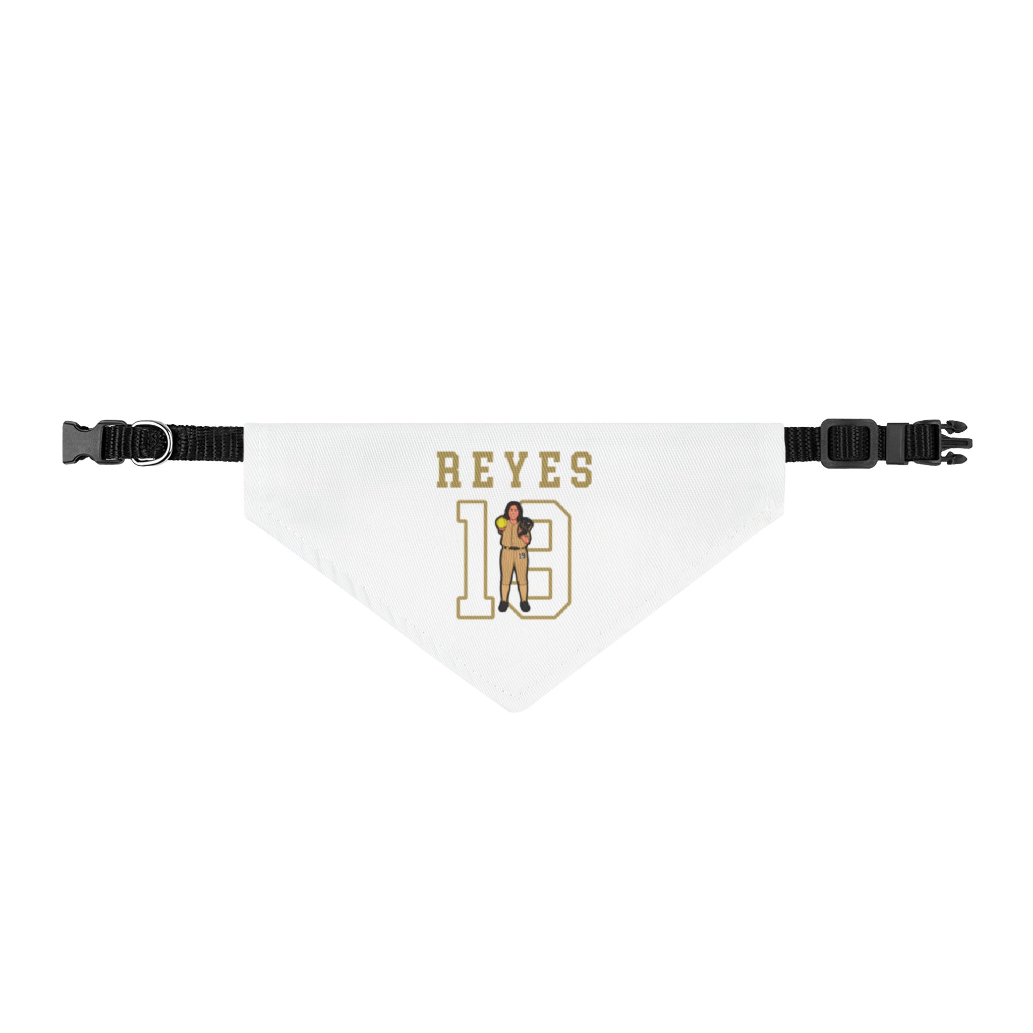 Pet Bandana — character_shirsey in Classic