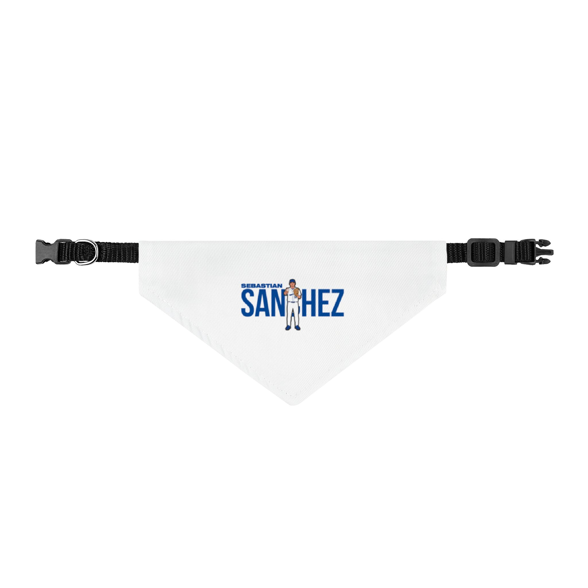 Pet Bandana — character_player_name in Classic