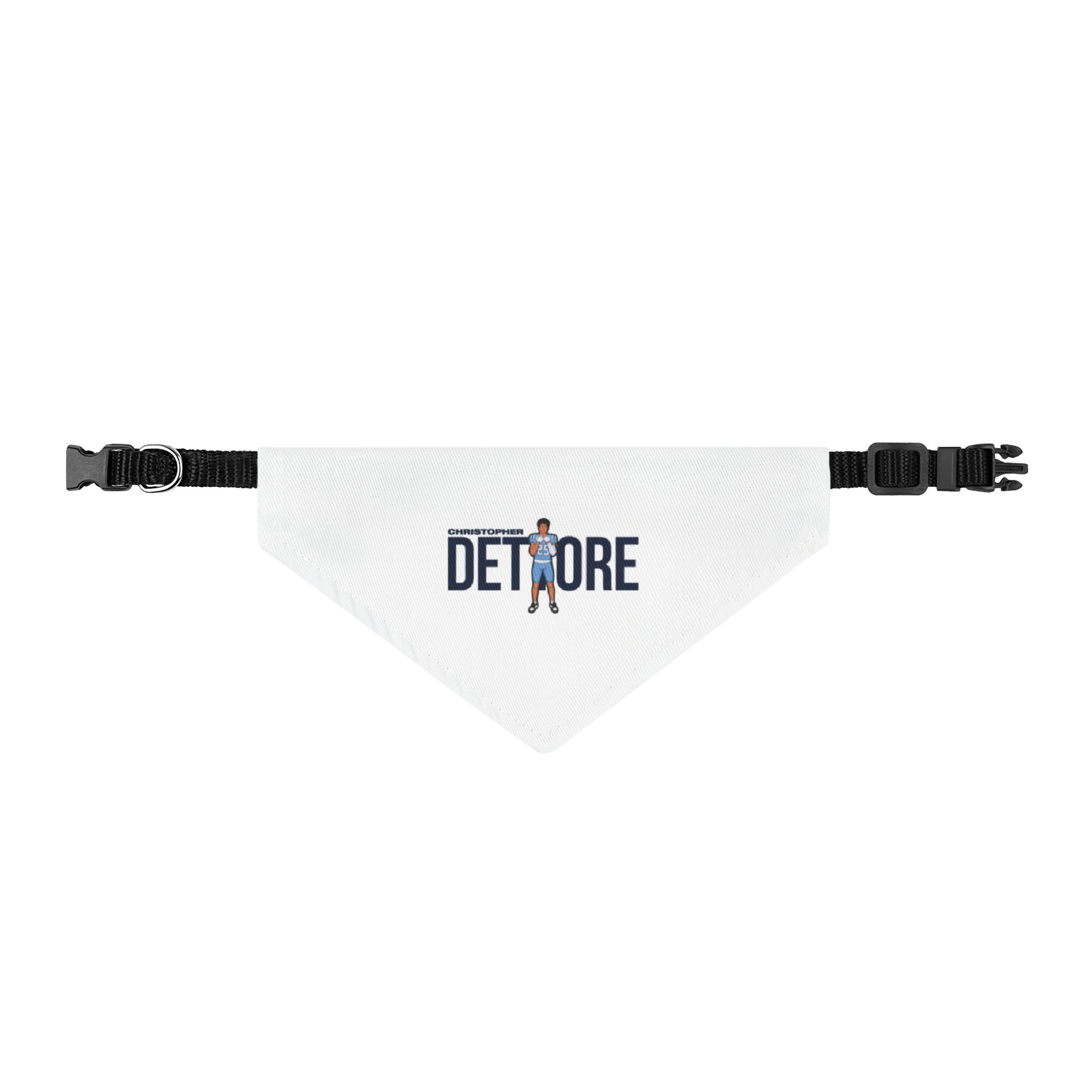 Pet Bandana — character_player_name in Classic