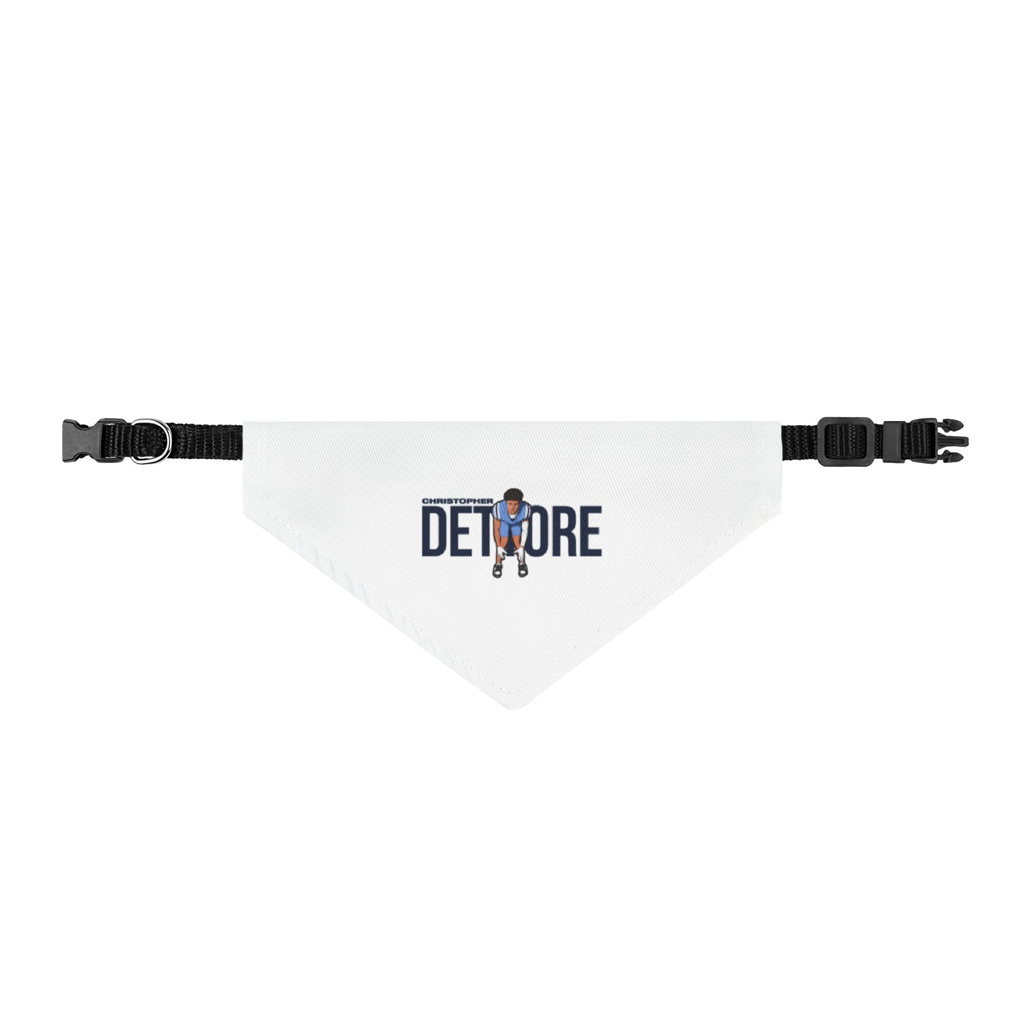 Pet Bandana — character_player_name in Classic