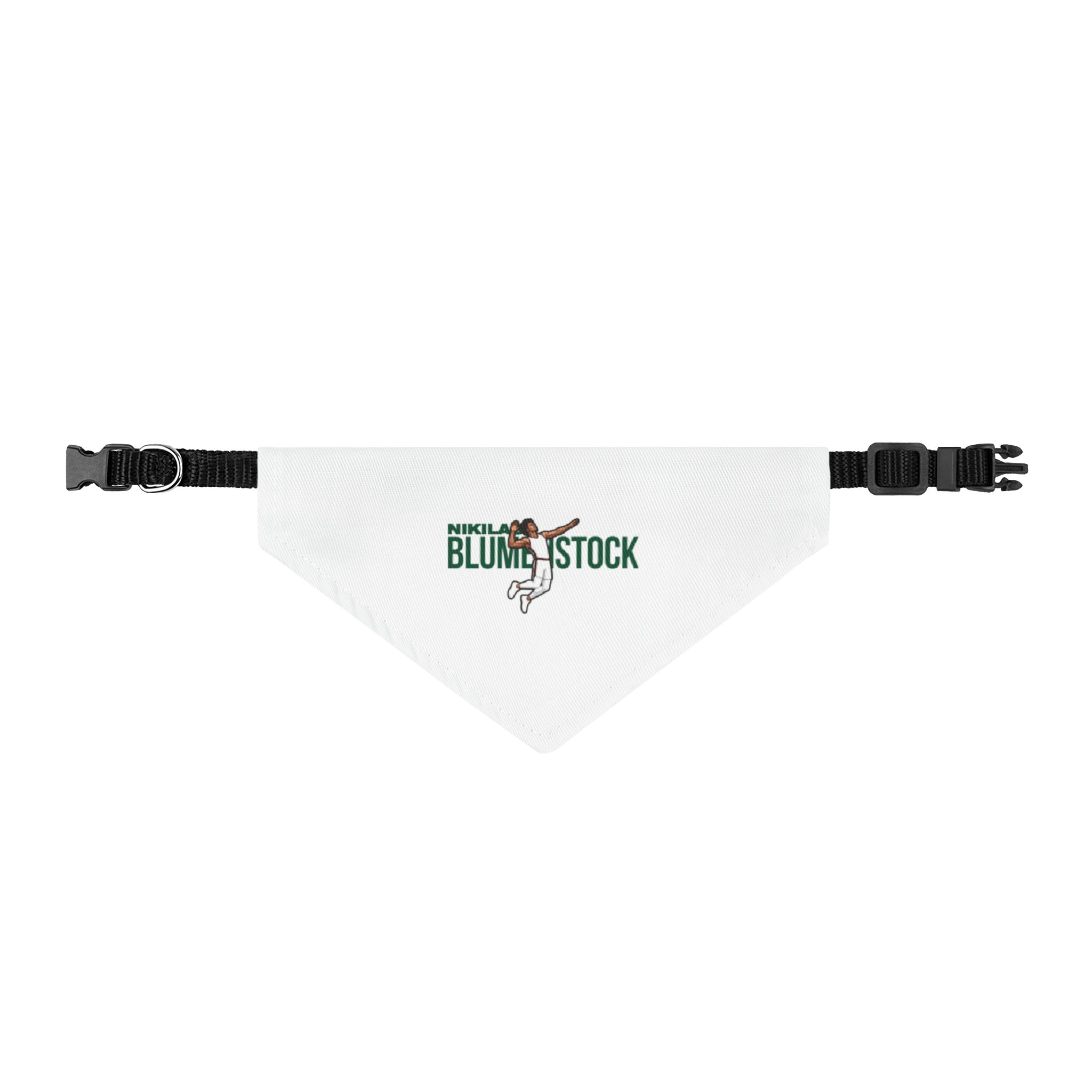 Pet Bandana — character_player_name in Classic