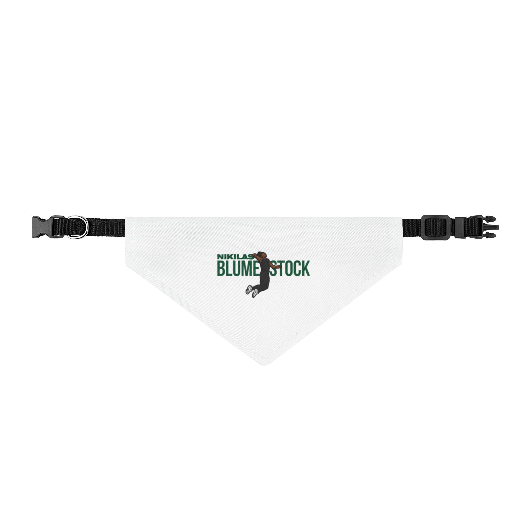 Pet Bandana — character_player_name in Classic