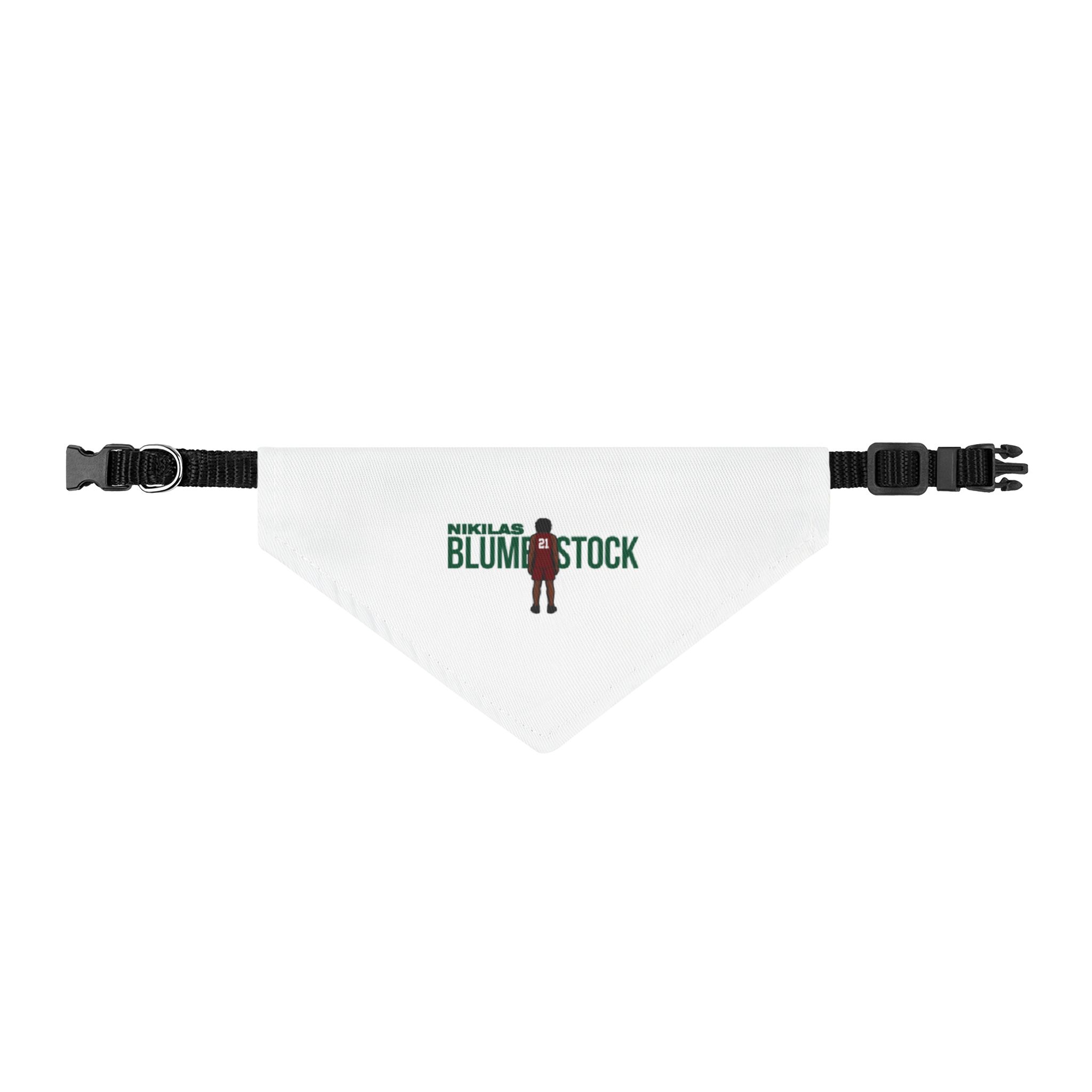 Pet Bandana — character_player_name in Classic