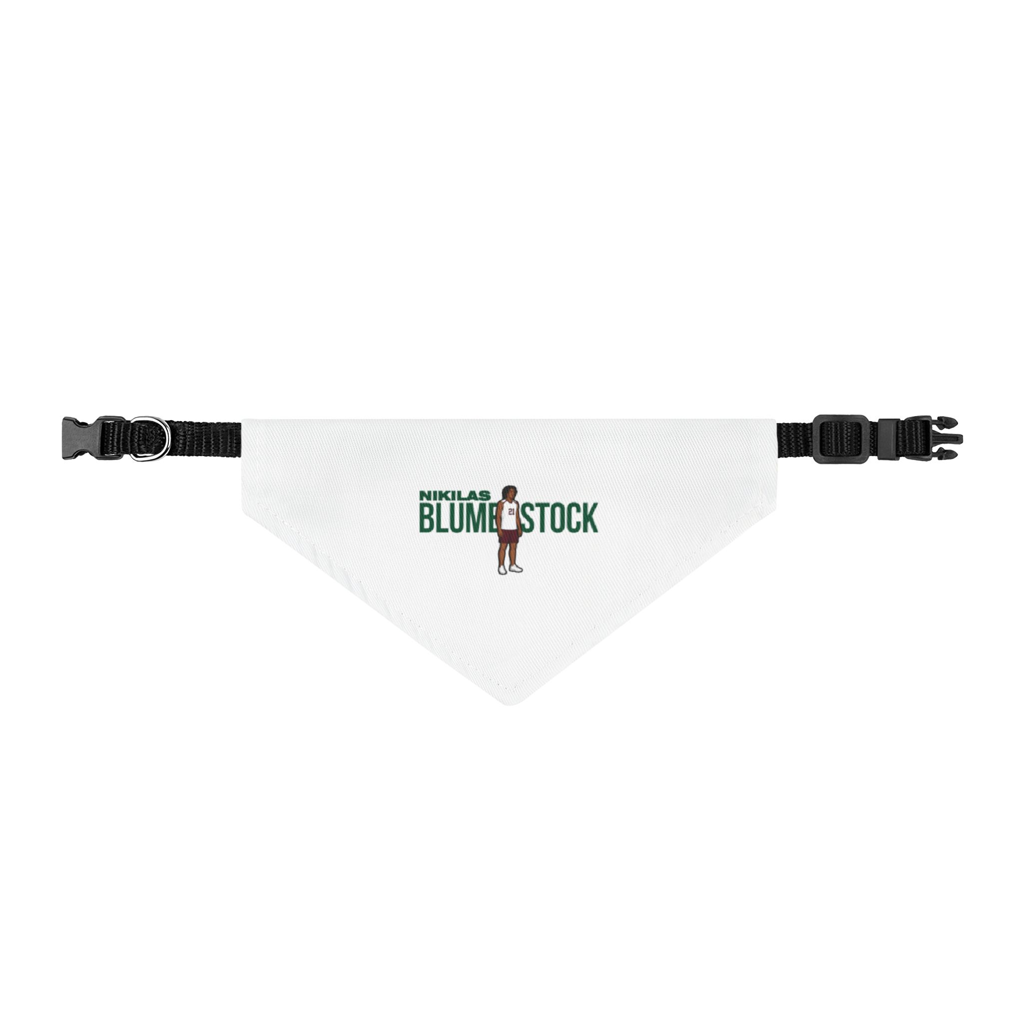 Pet Bandana — character_player_name in Classic