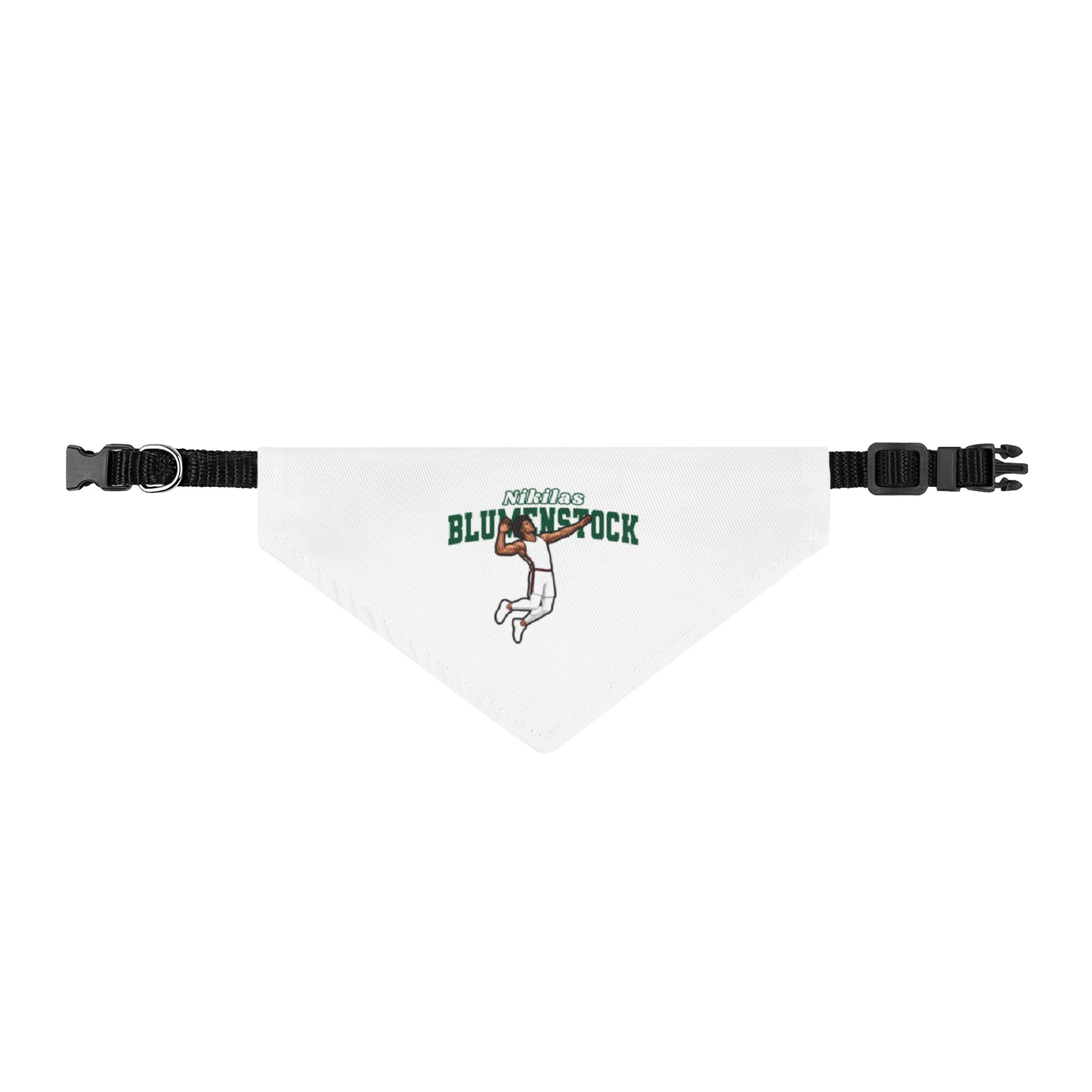 Pet Bandana — character_name_arch in Classic