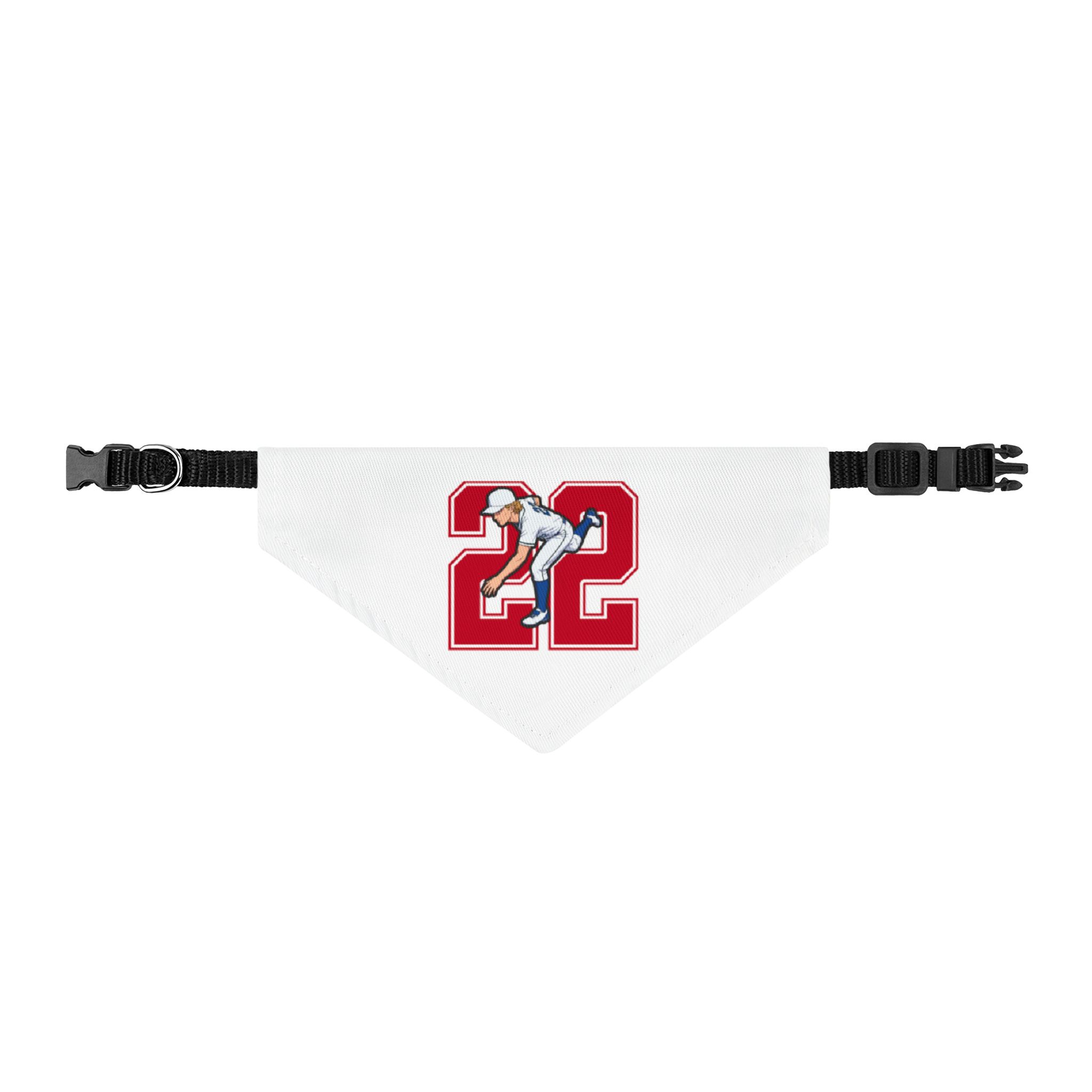 Pet Bandana — character_number in Classic