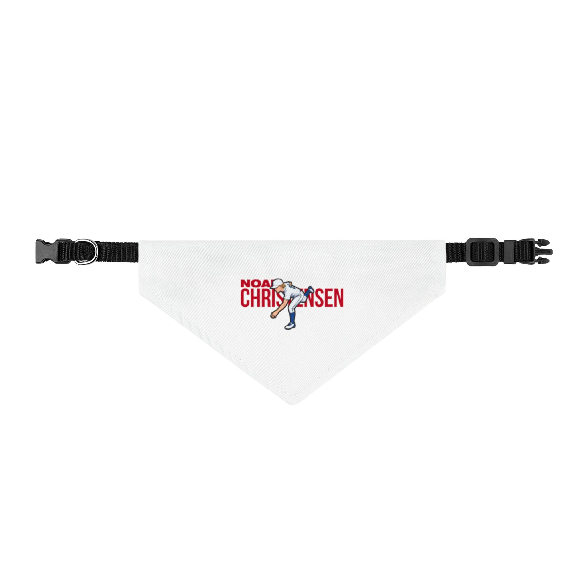 Pet Bandana — character_player_name in Classic