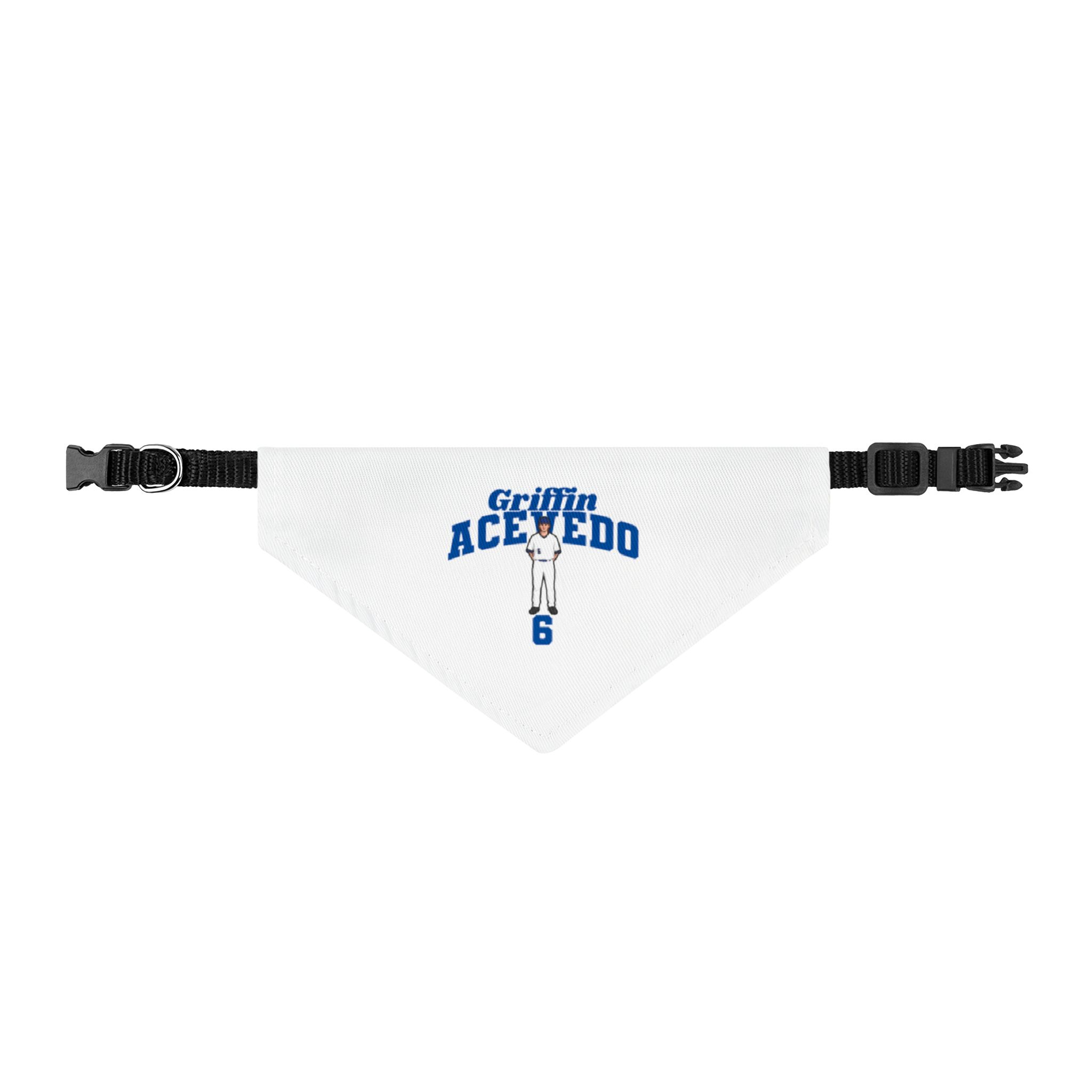 Pet Bandana — character_signature_arch in Classic