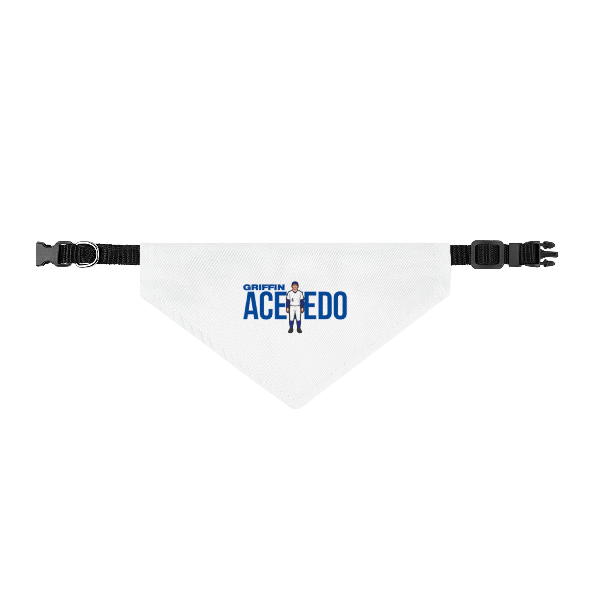 Pet Bandana — character_player_name in Classic