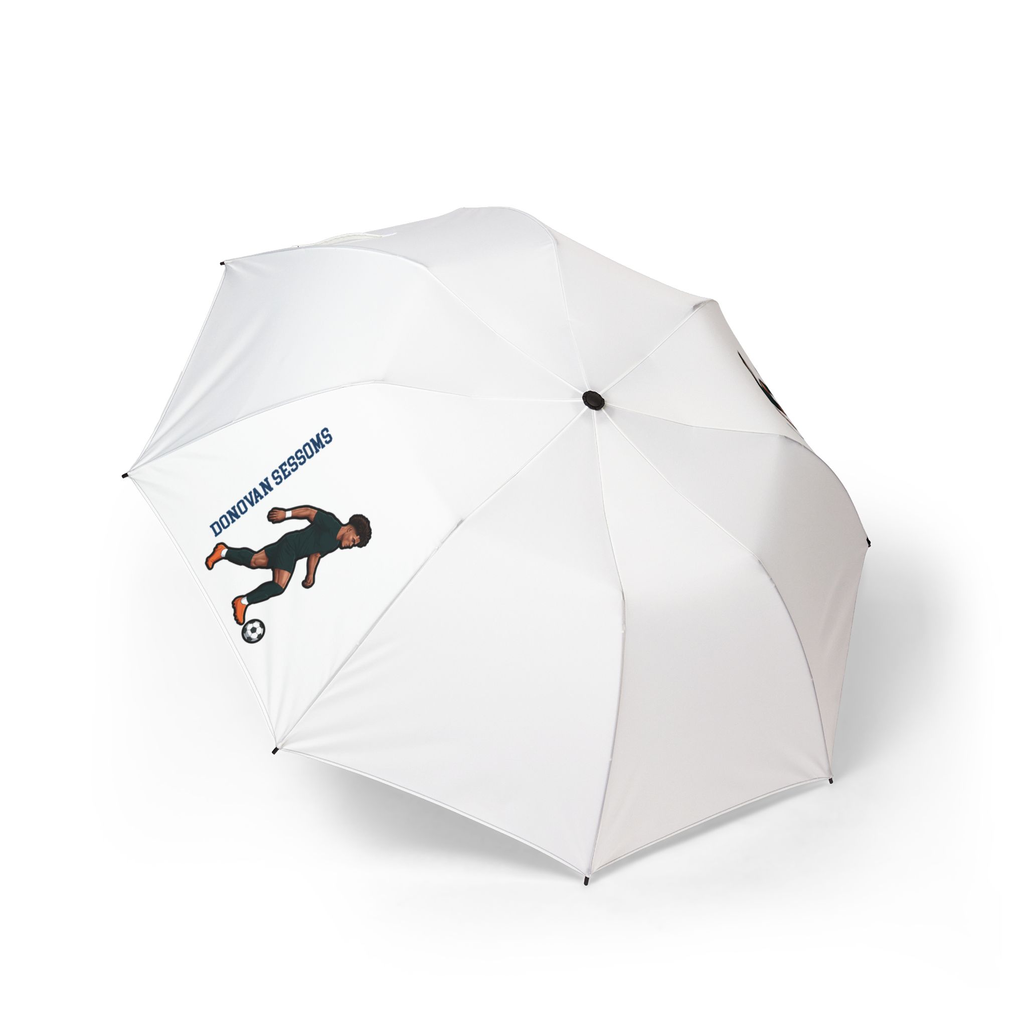 Foldable Umbrella — character_name_vertical in Classic