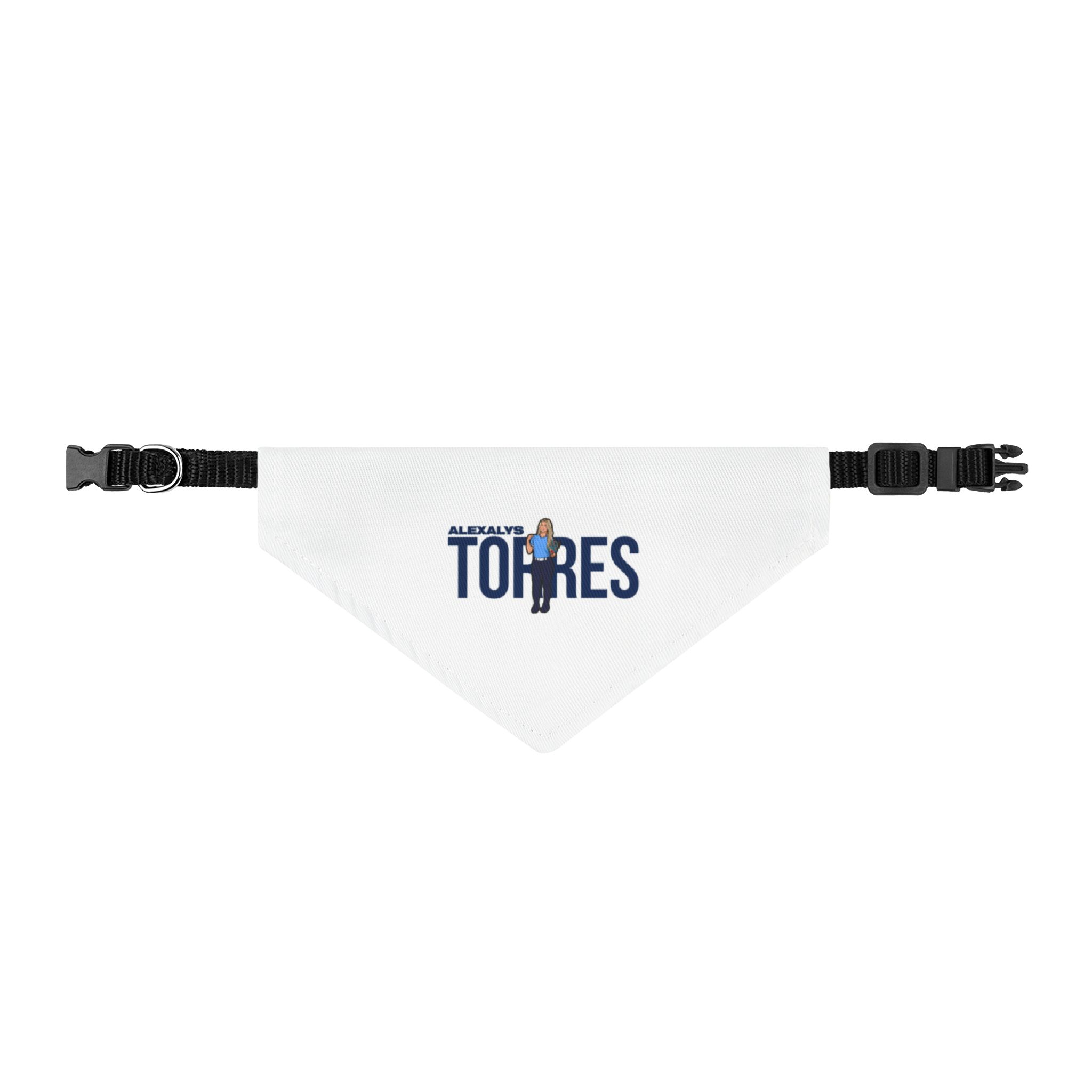 Pet Bandana — character_player_name in Classic